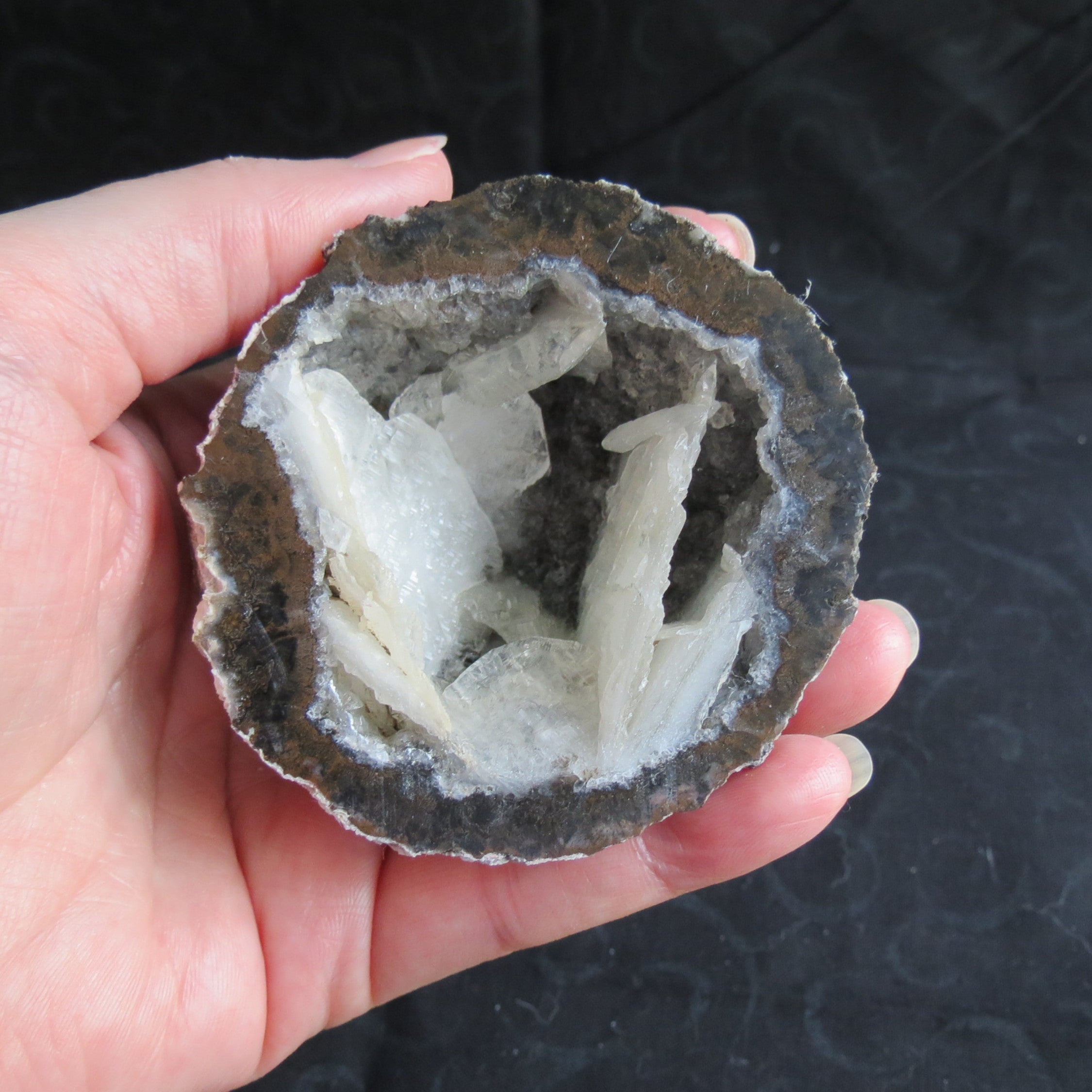 Coconut Geode - Coco8b - Calcite Plating, Angel Wings