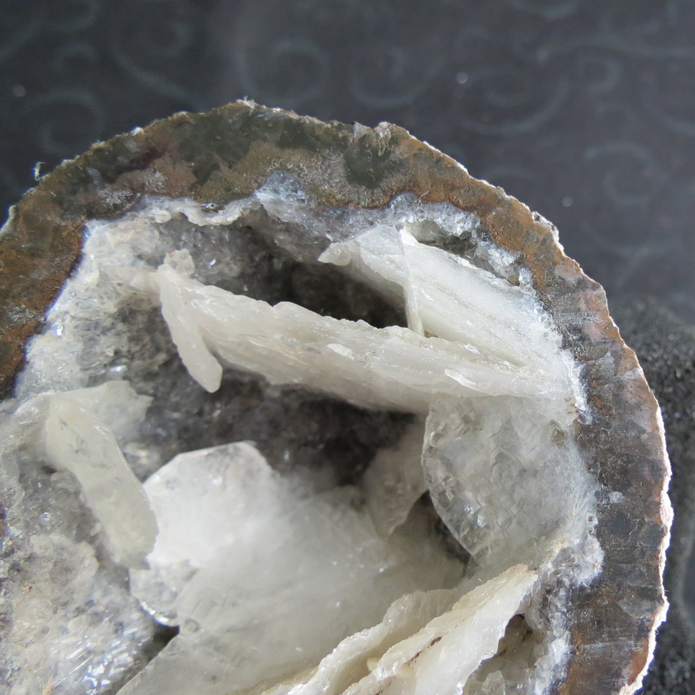 Coconut Geode - Coco8b - Calcite Plating, Angel Wings