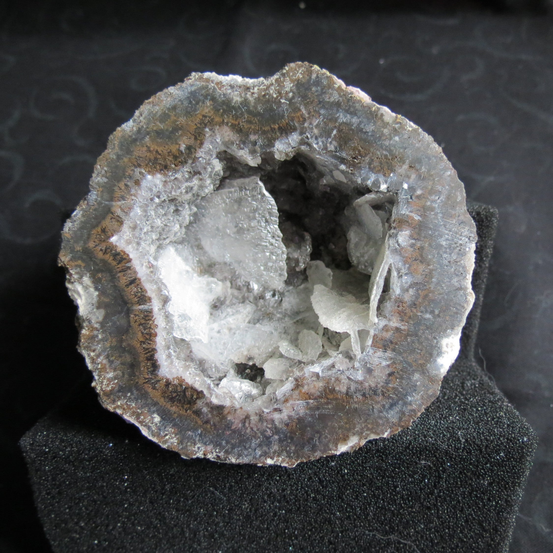 Coconut Geode - Coco9a - Calcite Plating, Angel Wings