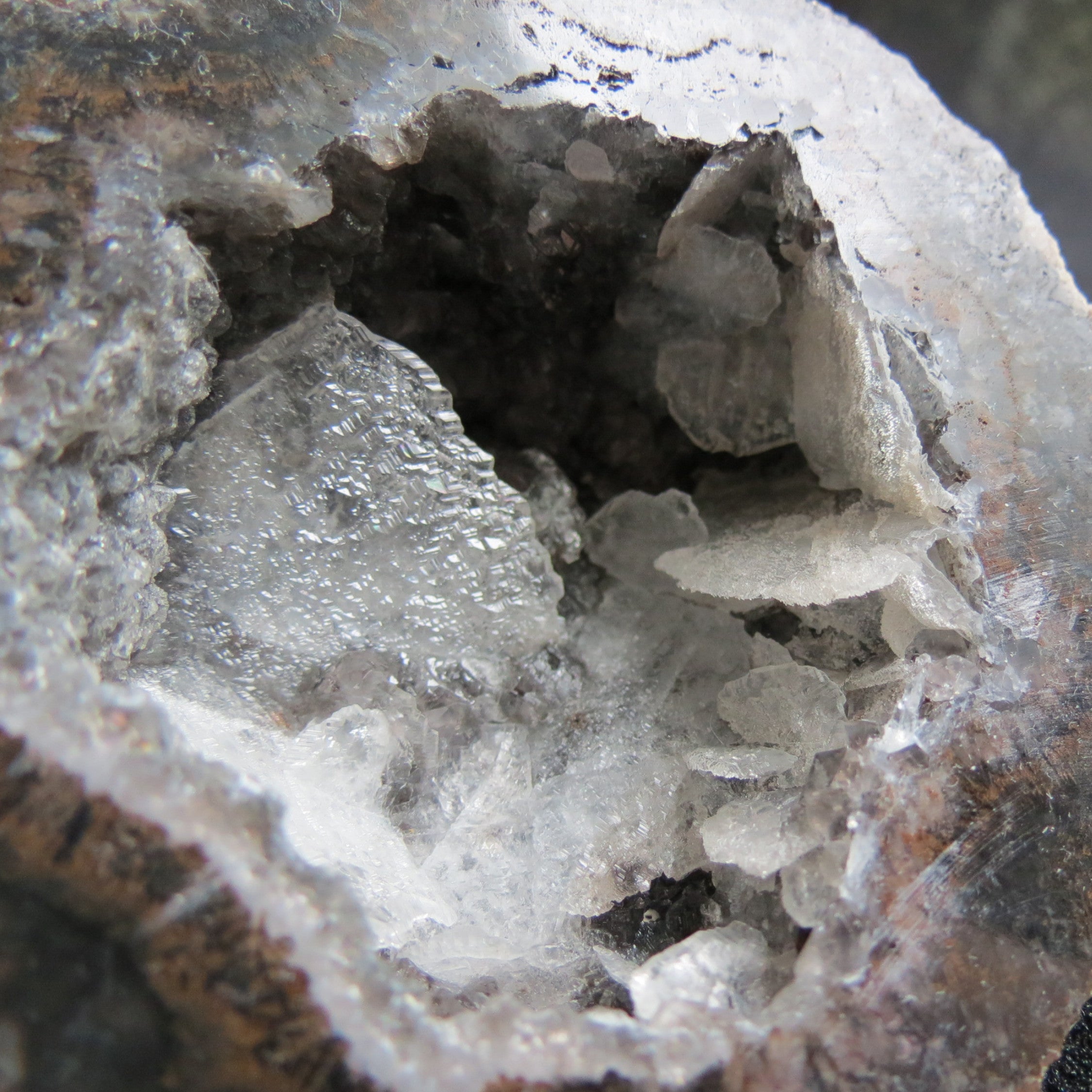 Coconut Geode - Coco9a - Calcite Plating, Angel Wings