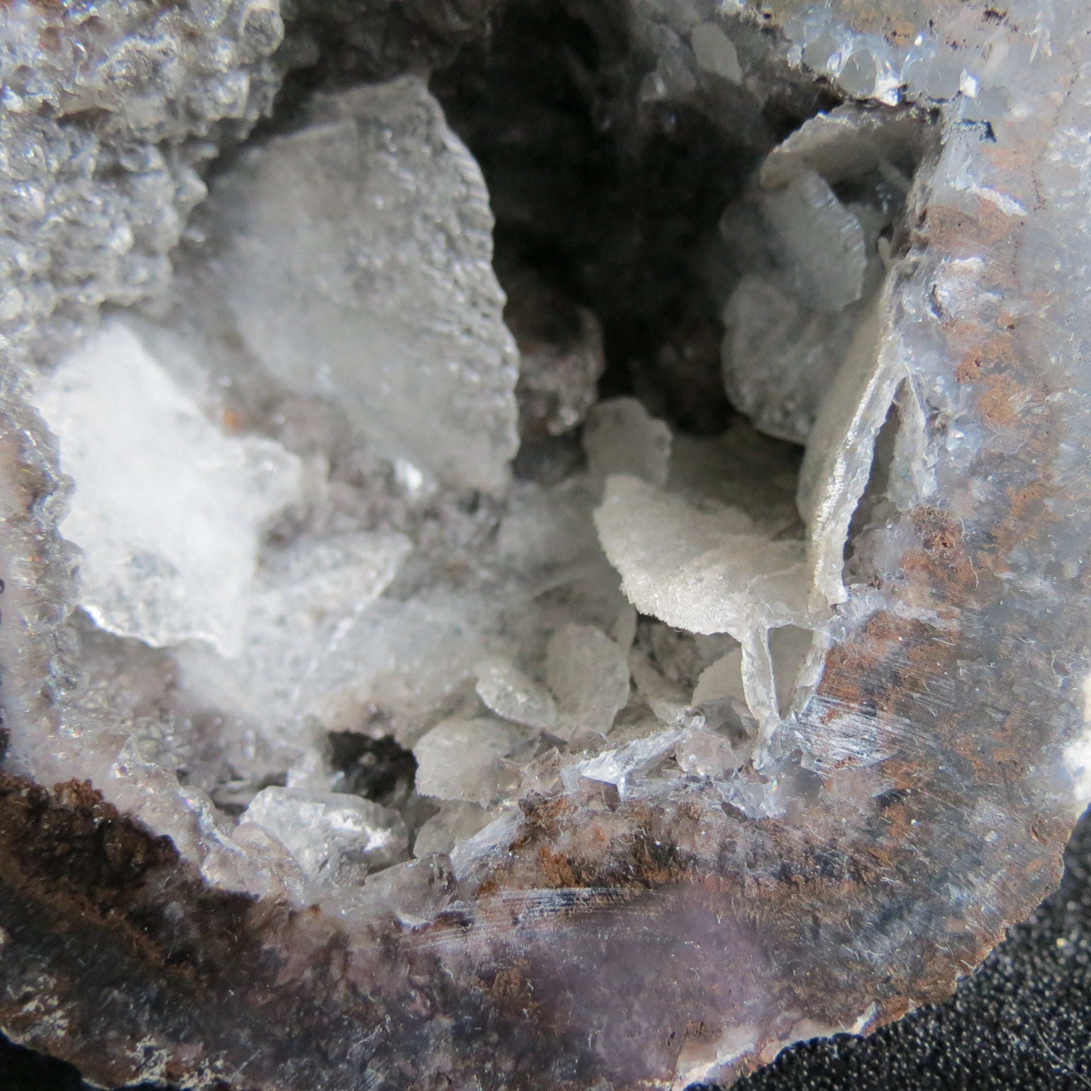 Coconut Geode - Coco9a - Calcite Plating, Angel Wings