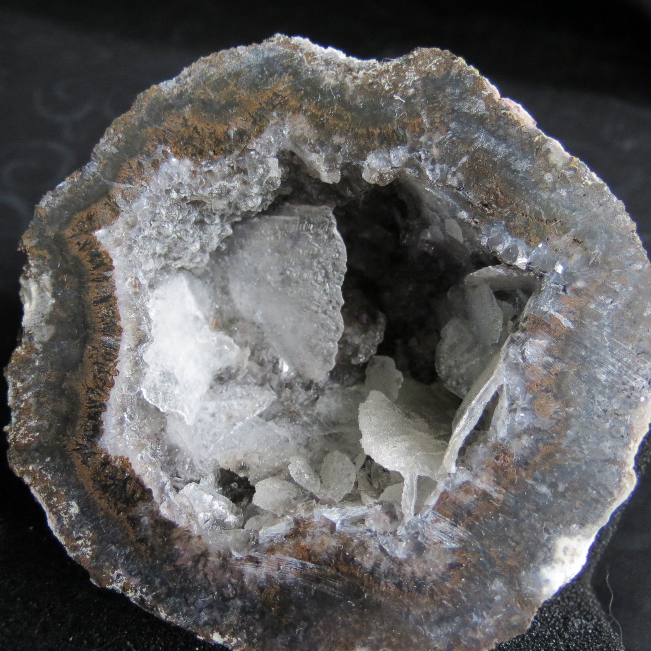 Coconut Geode - Coco9a - Calcite Plating, Angel Wings