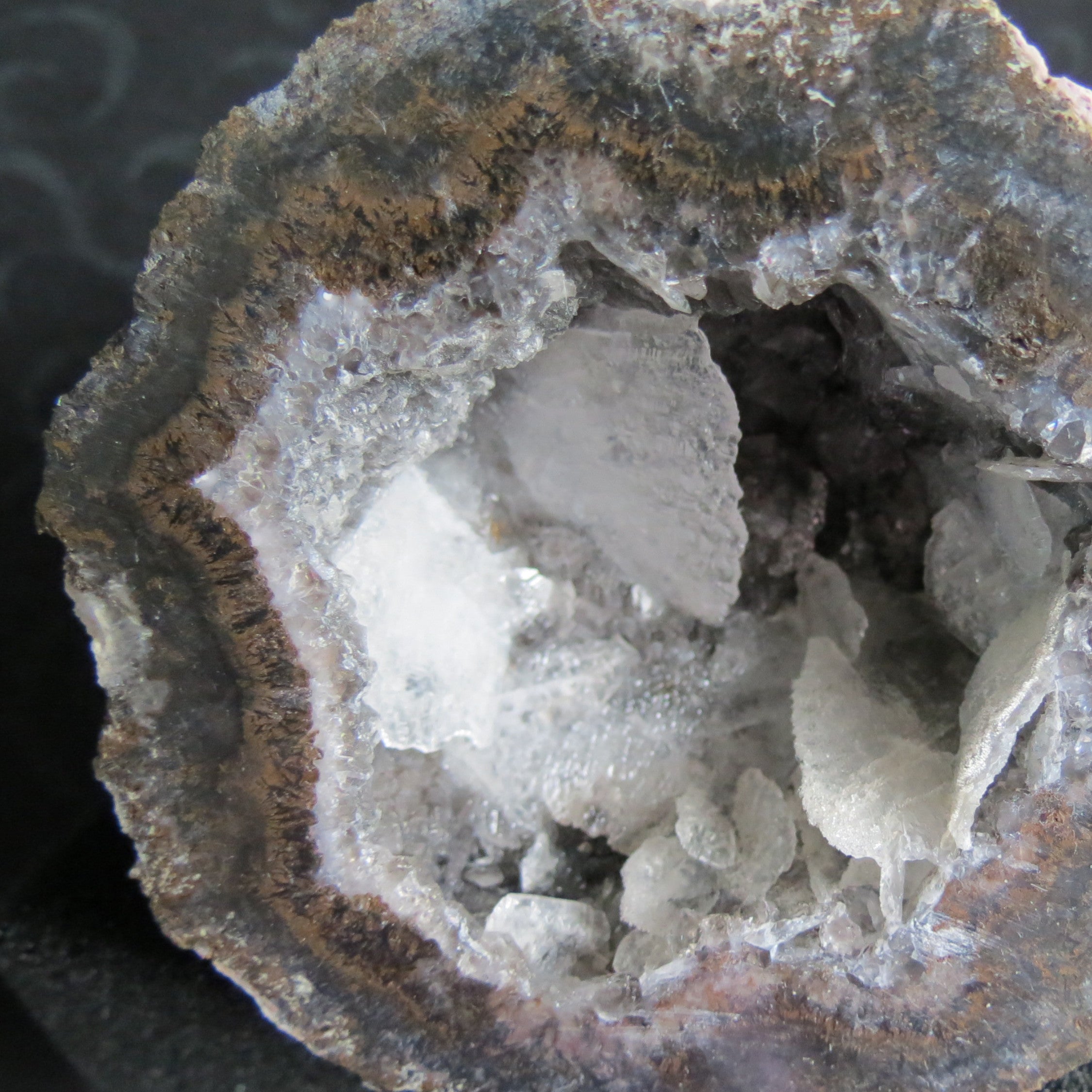 Coconut Geode - Coco9a - Calcite Plating, Angel Wings