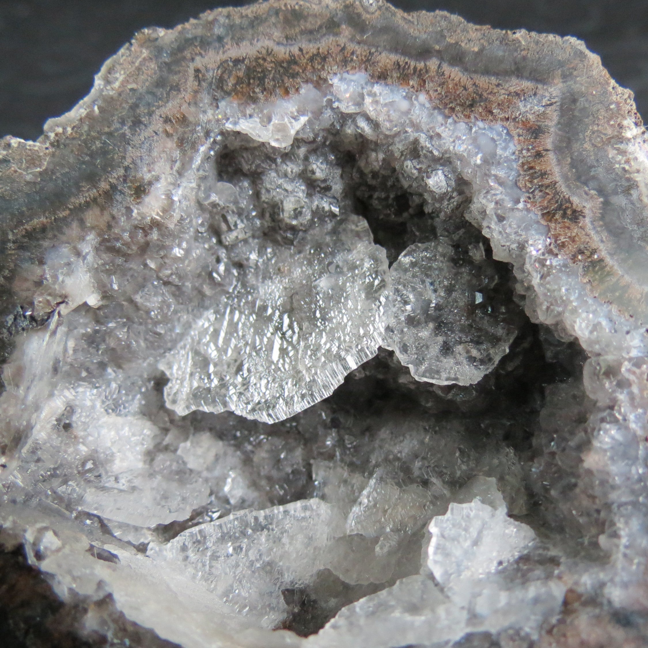 Coconut Geode - Coco9b - Calcite Plating, Angel Wings
