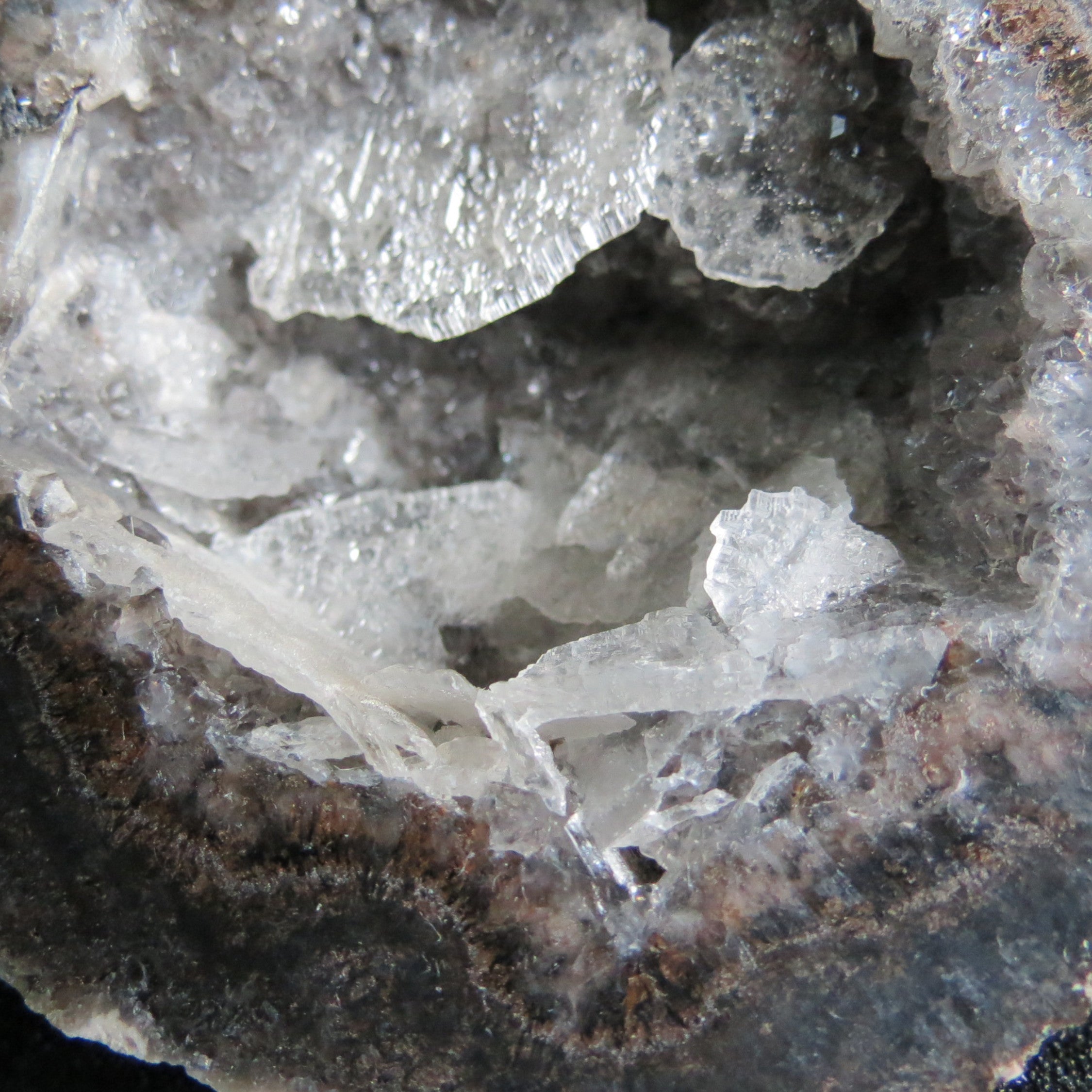 Coconut Geode - Coco9b - Calcite Plating, Angel Wings