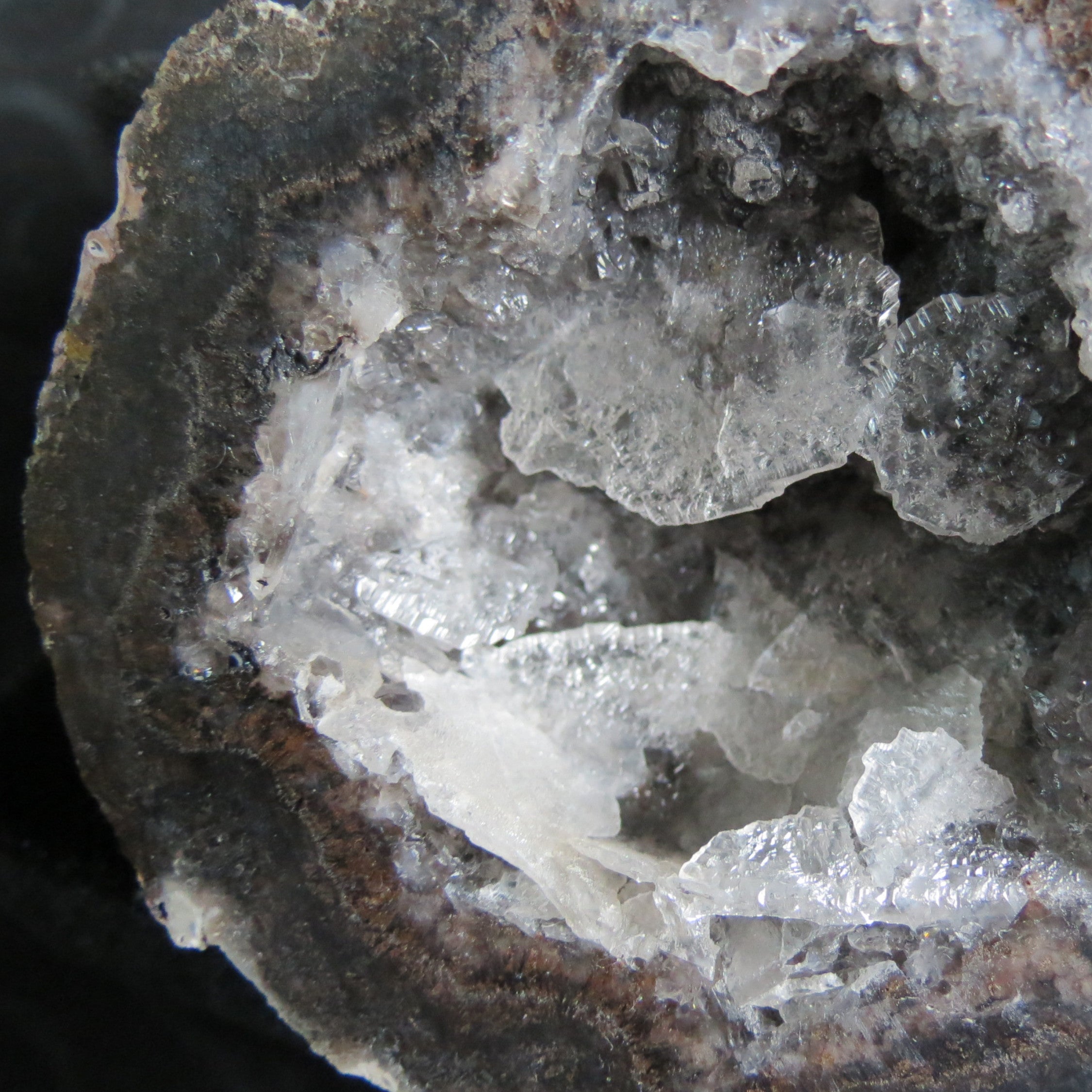 Coconut Geode - Coco9b - Calcite Plating, Angel Wings