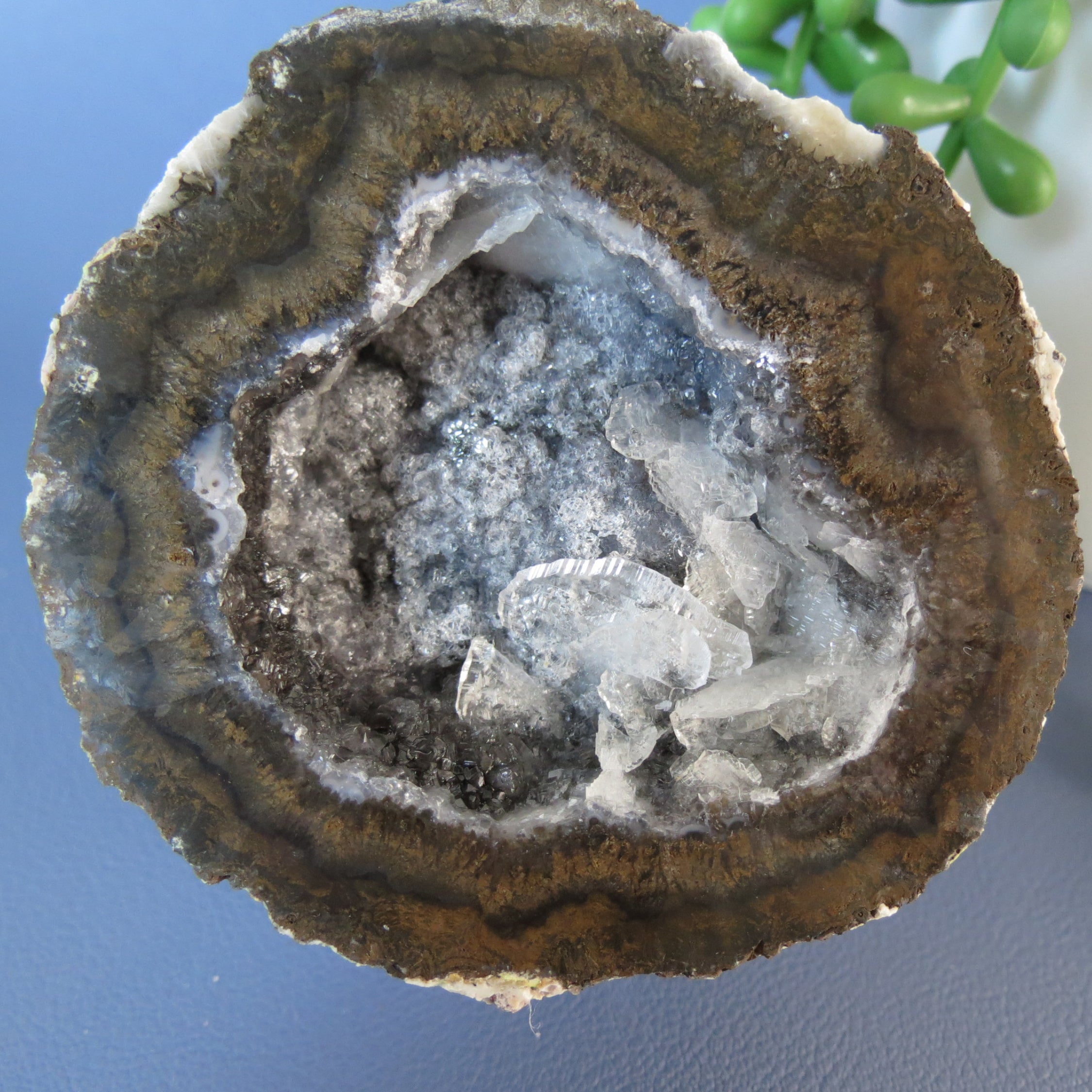 Coconut Geode - Chocolate and Calcite - Coco18a - Las Choyas