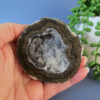 Coconut Geode - Chocolate and Calcite - Coco18a - Las Choyas