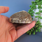 Coconut Geode - Chocolate and Calcite - Coco18a - Las Choyas