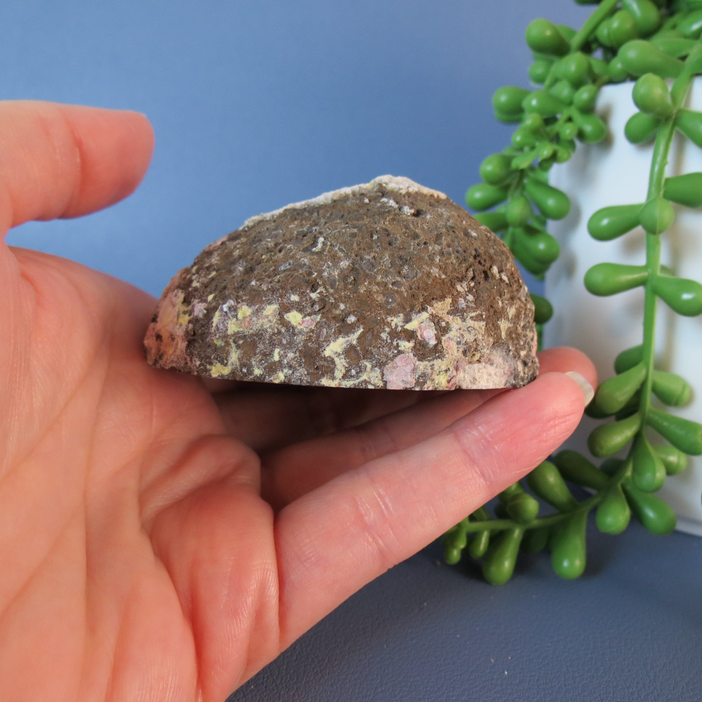 Coconut Geode - Chocolate and Calcite - Coco18a - Las Choyas