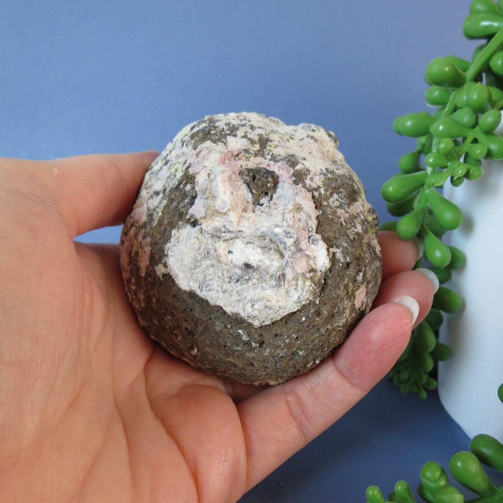 Coconut Geode - Chocolate and Calcite - Coco18a - Las Choyas
