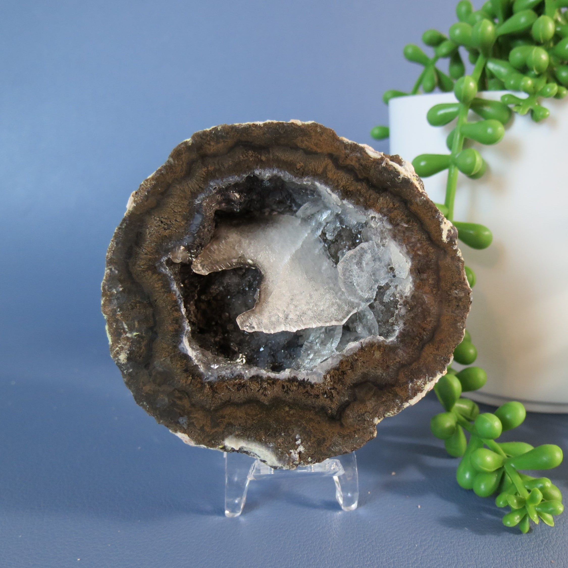 Coconut Geode - Chocolate and Calcite - Coco18b - Las Choyas