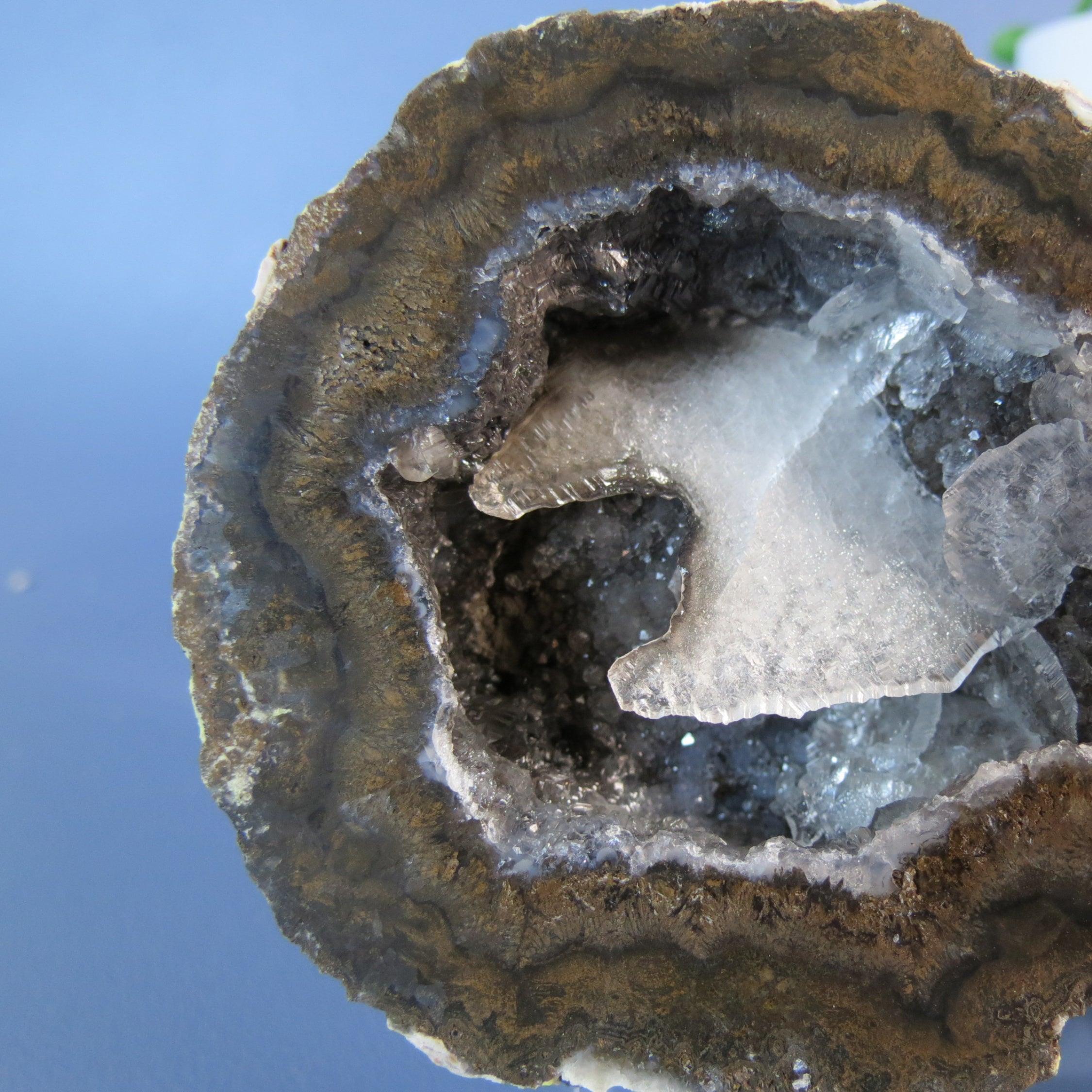 Coconut Geode - Chocolate and Calcite - Coco18b - Las Choyas