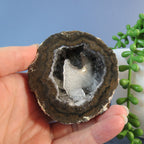 Coconut Geode - Chocolate and Calcite - Coco18b - Las Choyas