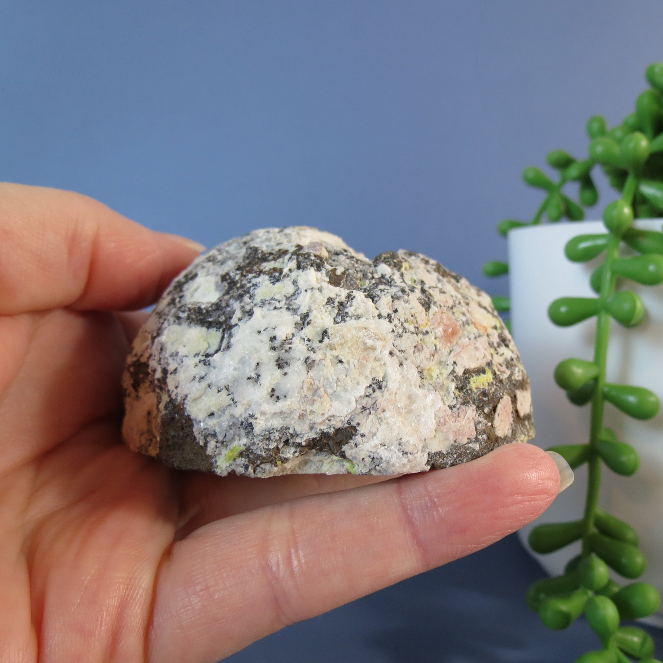 Coconut Geode - Chocolate and Calcite - Coco18b - Las Choyas