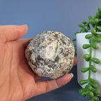 Coconut Geode - Chocolate and Calcite - Coco18b - Las Choyas