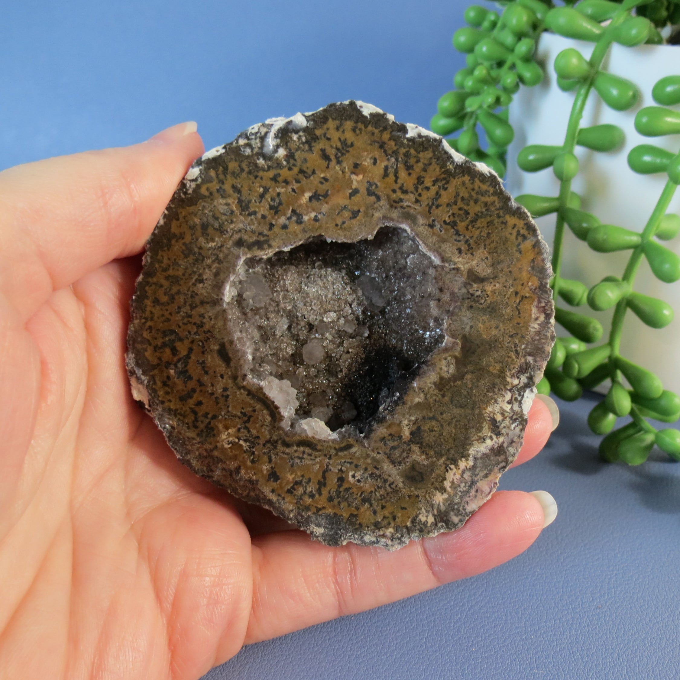 Coconut Geode - Mini Calcite Scales - Coco19a - Las Choyas