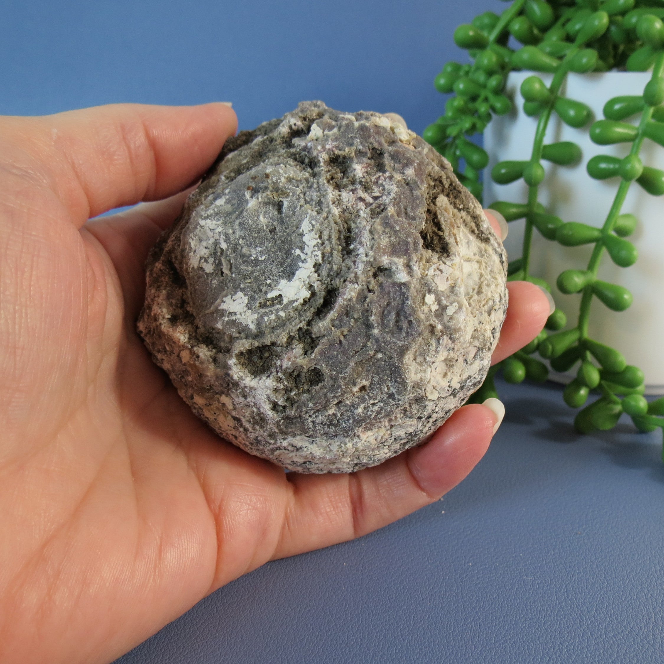Coconut Geode - Mini Calcite Scales - Coco19a - Las Choyas