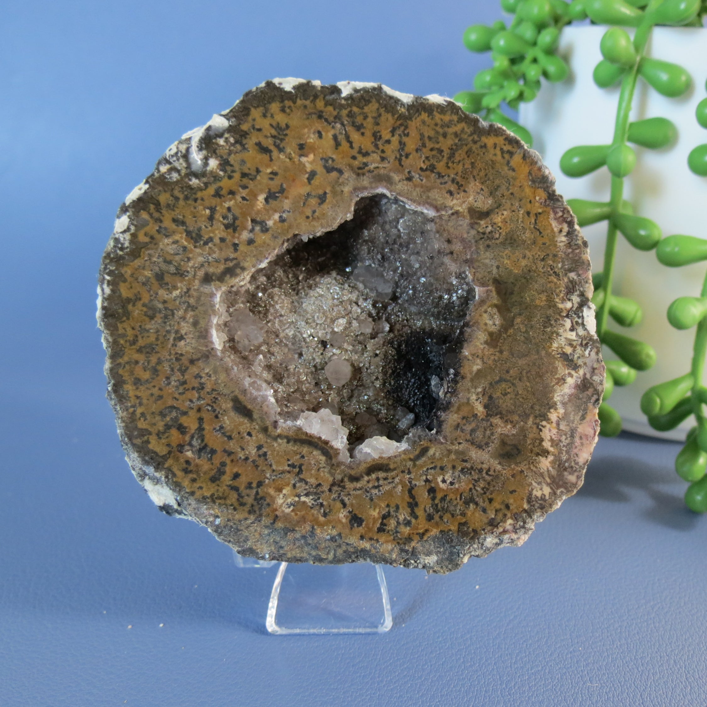 Coconut Geode - Mini Calcite Scales - Coco19a - Las Choyas