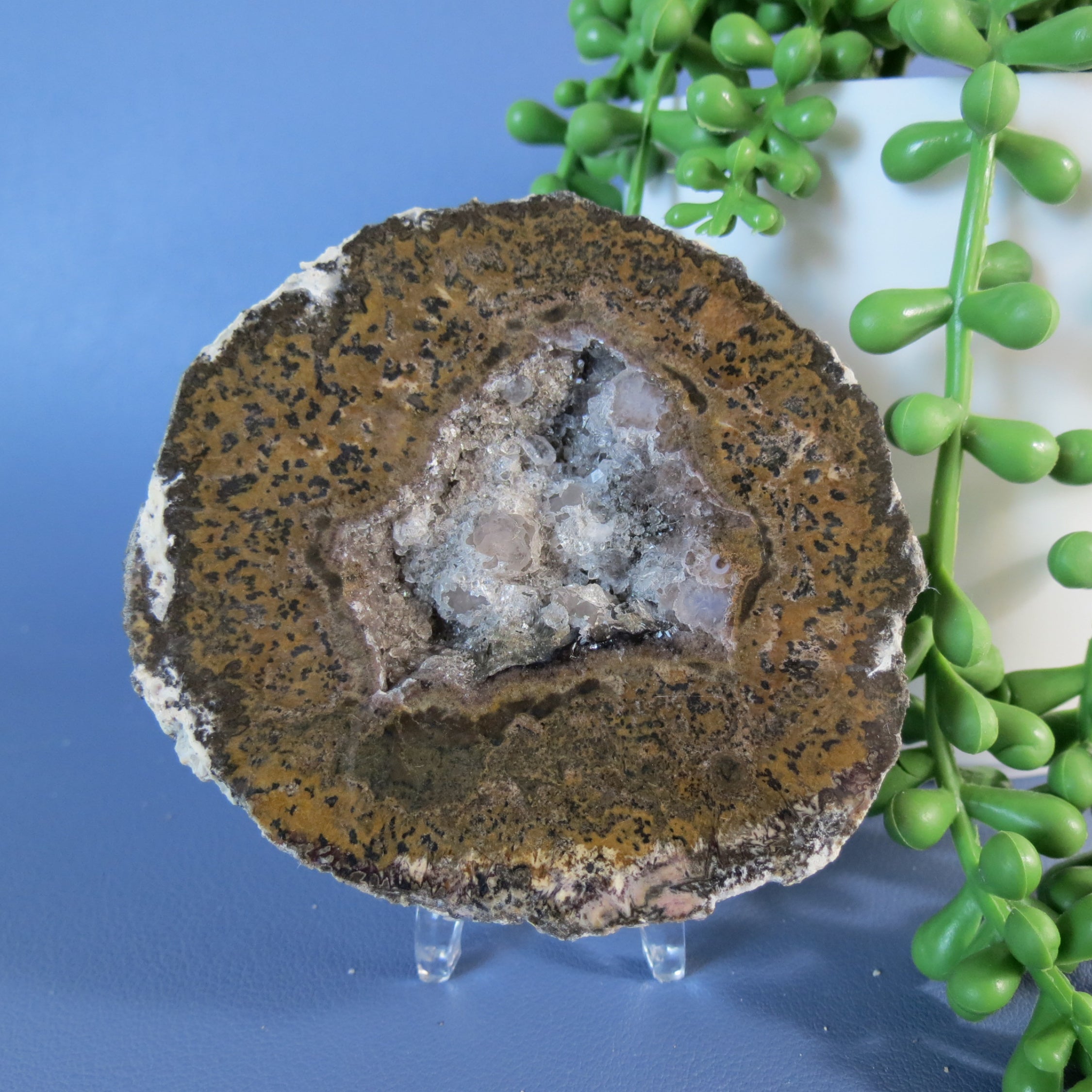 Coconut Geode - Mini Calcite Scales - Coco19b - Las Choyas