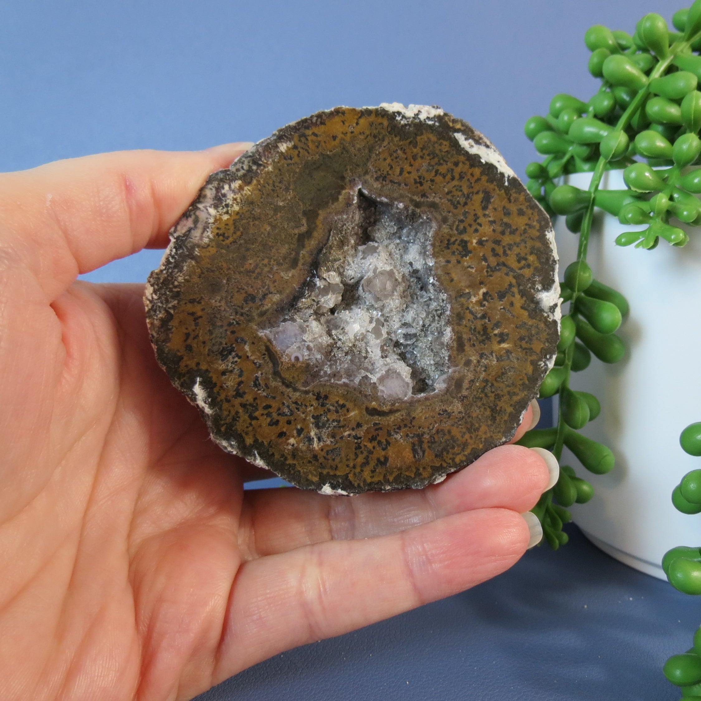 Coconut Geode - Mini Calcite Scales - Coco19b - Las Choyas