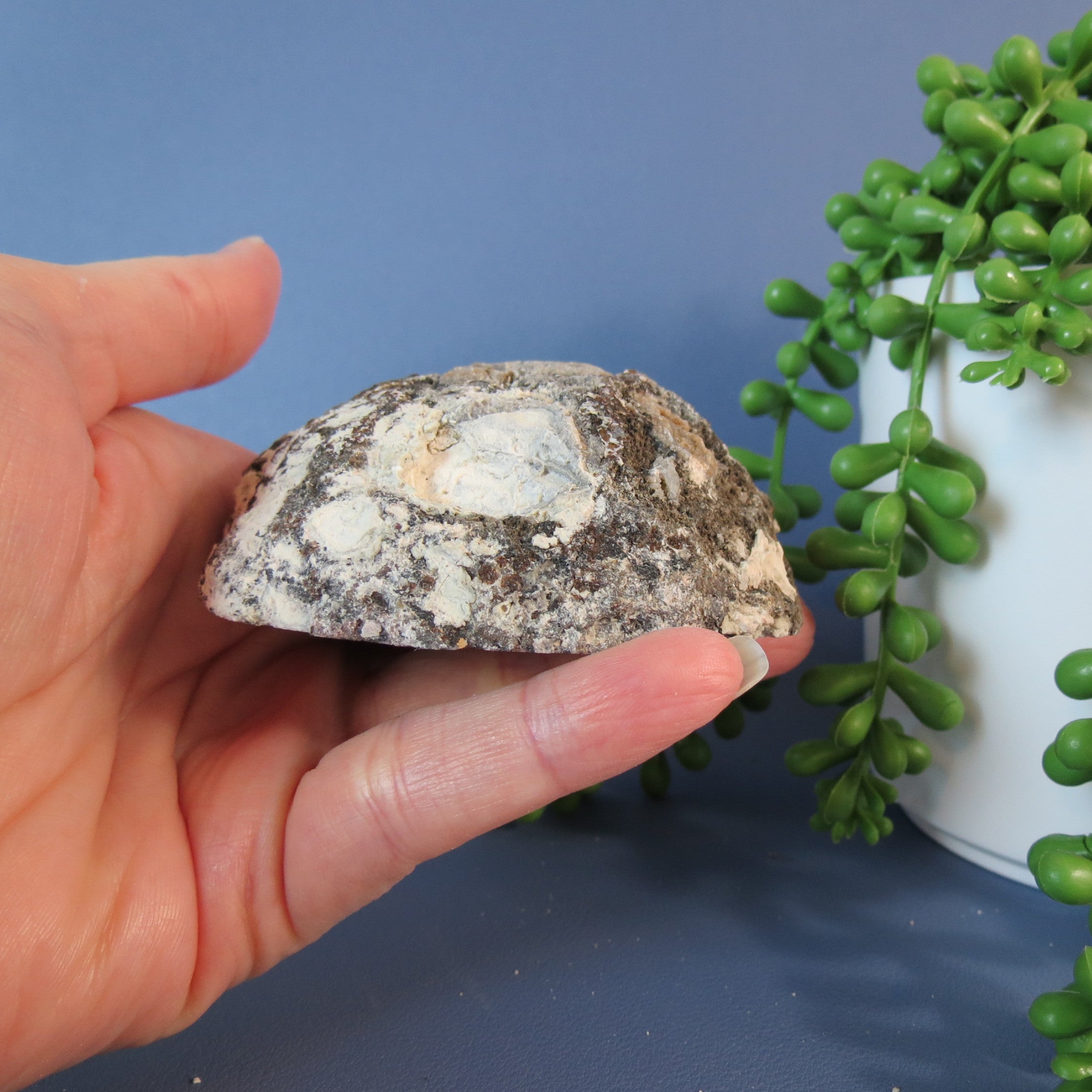 Coconut Geode - Mini Calcite Scales - Coco19b - Las Choyas