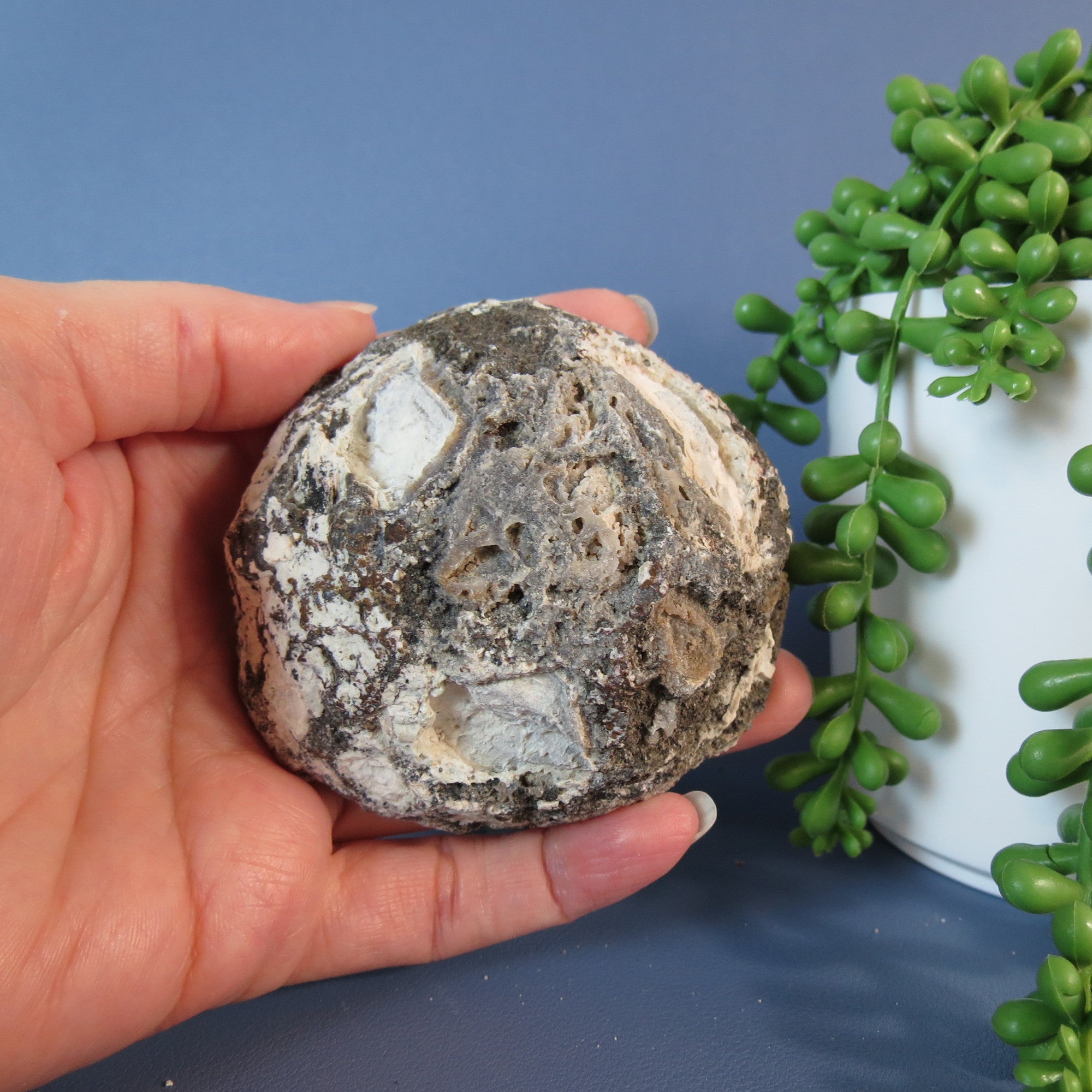 Coconut Geode - Mini Calcite Scales - Coco19b - Las Choyas