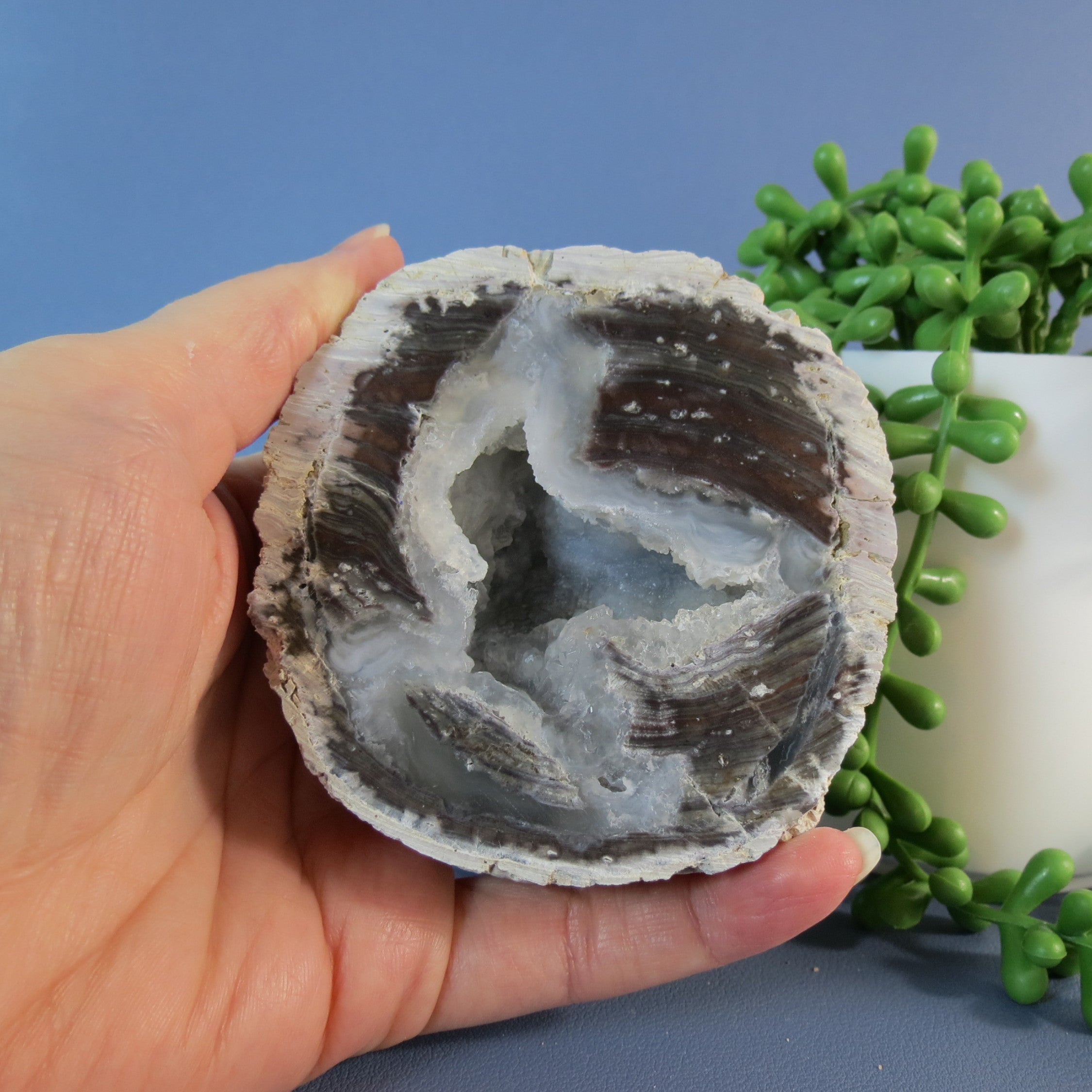 Druzy Mist Geode Thunderegg- Quartz - DM23a