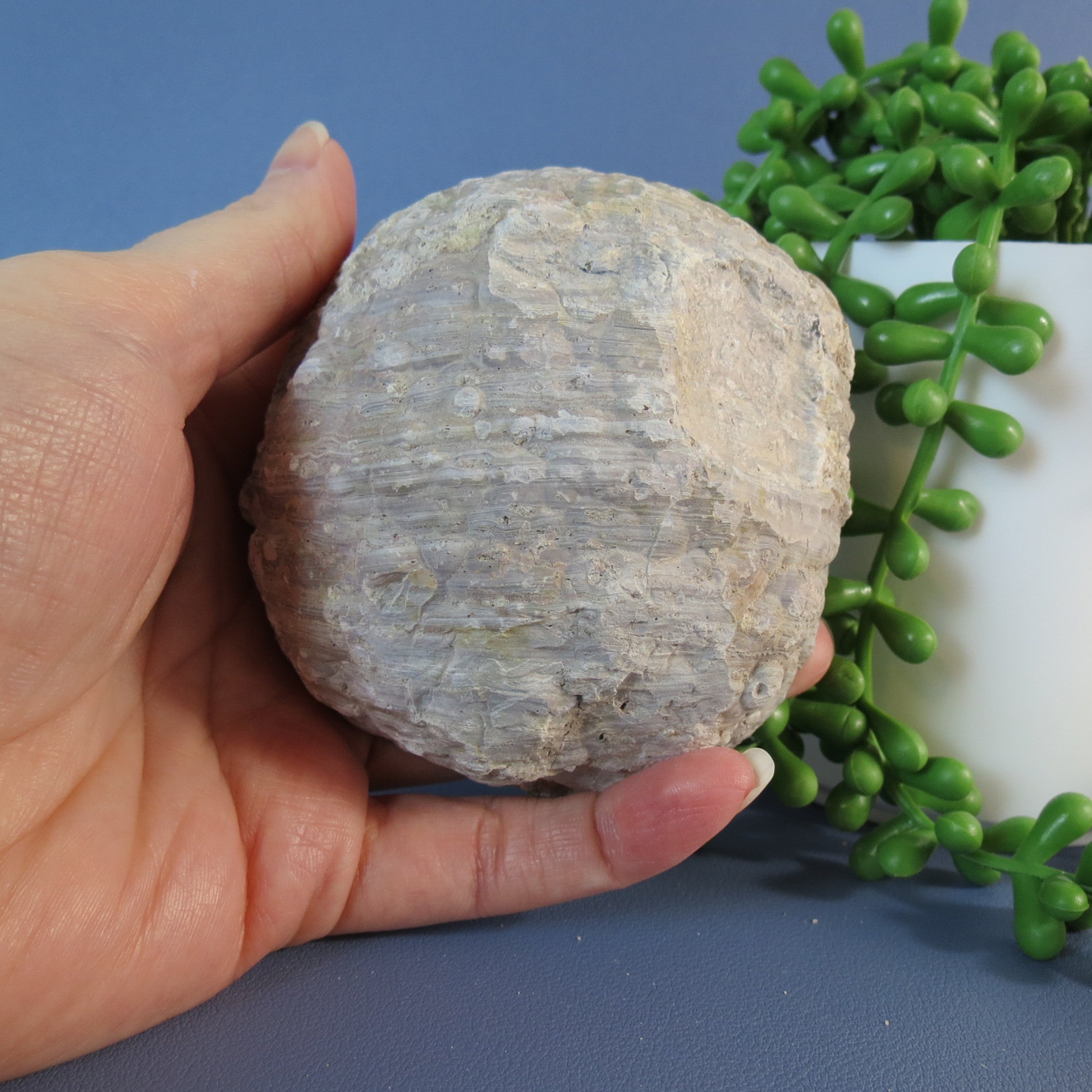 Druzy Mist Geode Thunderegg- Quartz - DM23a