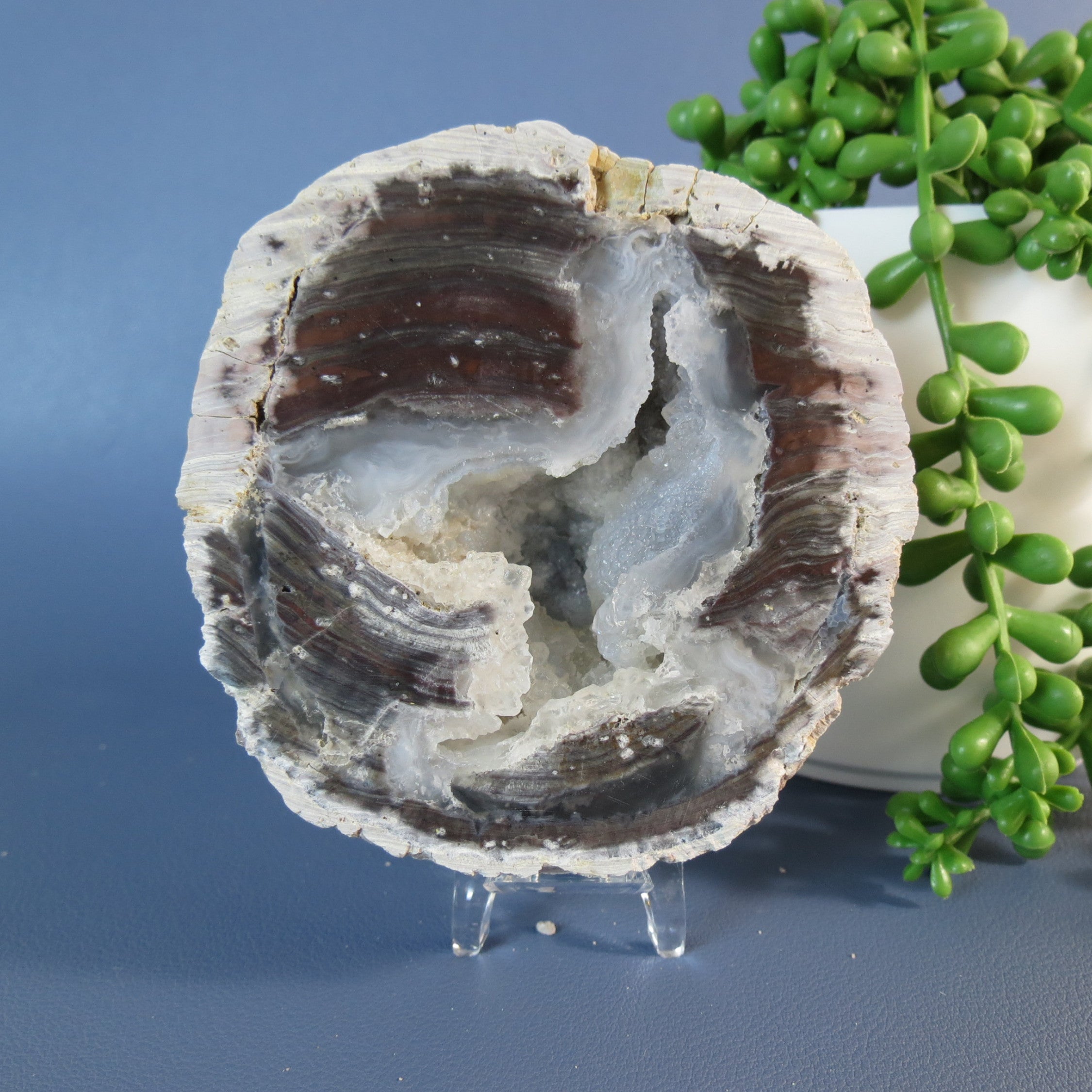 Druzy Mist Geode Thunderegg- Quartz - DM23b