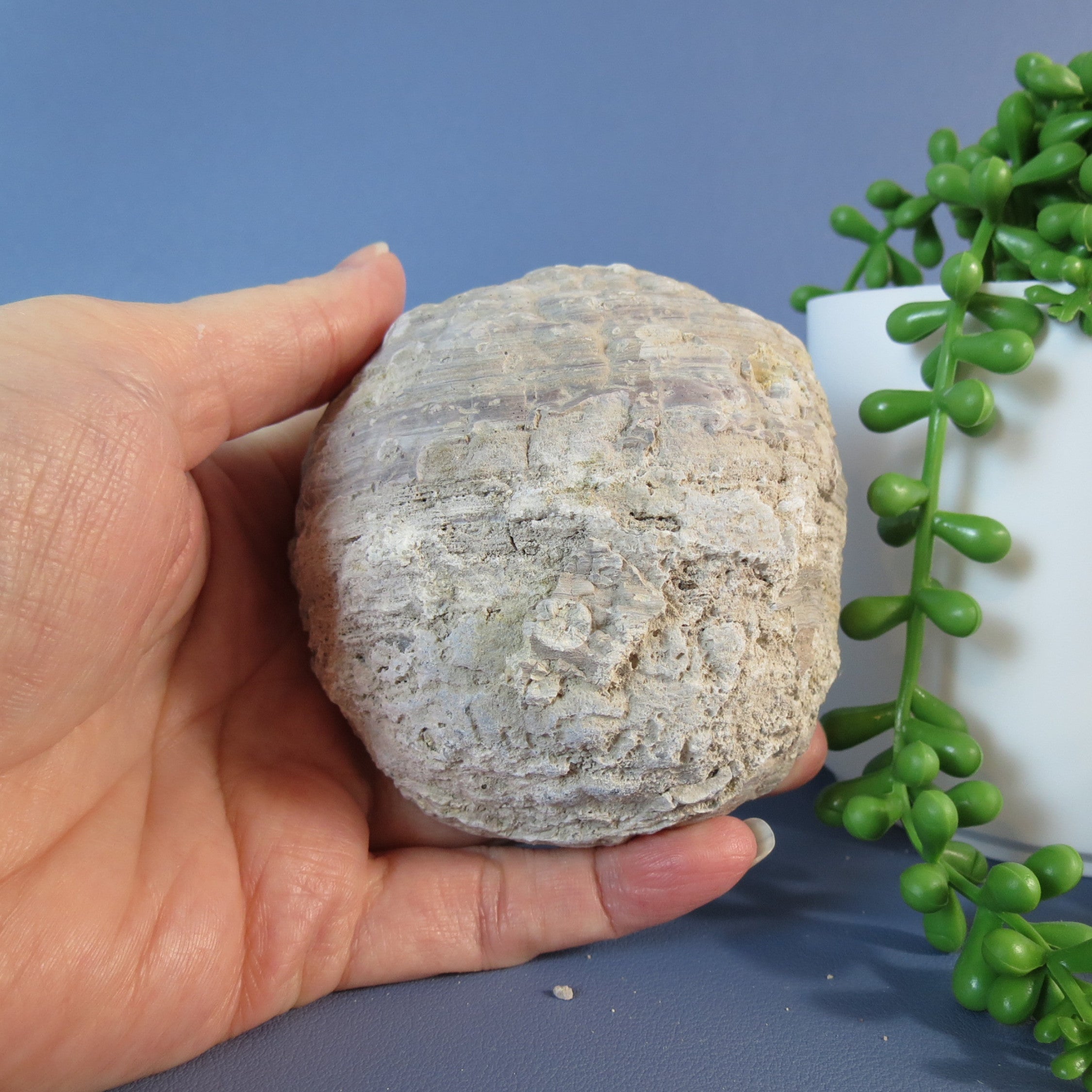 Druzy Mist Geode Thunderegg- Quartz - DM23b