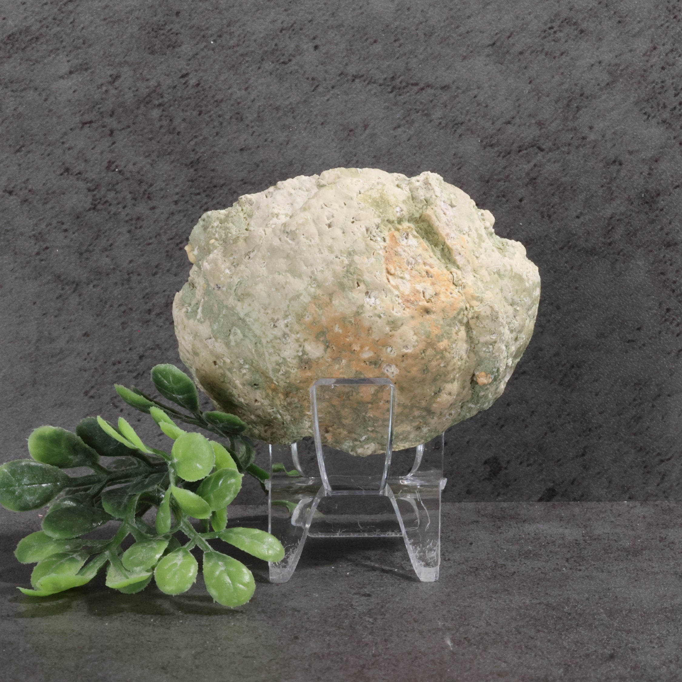 Candy Apple Geode 40a - Chalcedony & Quartz Crystals