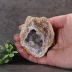 Candy Apple Geode 41a - Druzy Quartz covered Chalcedony