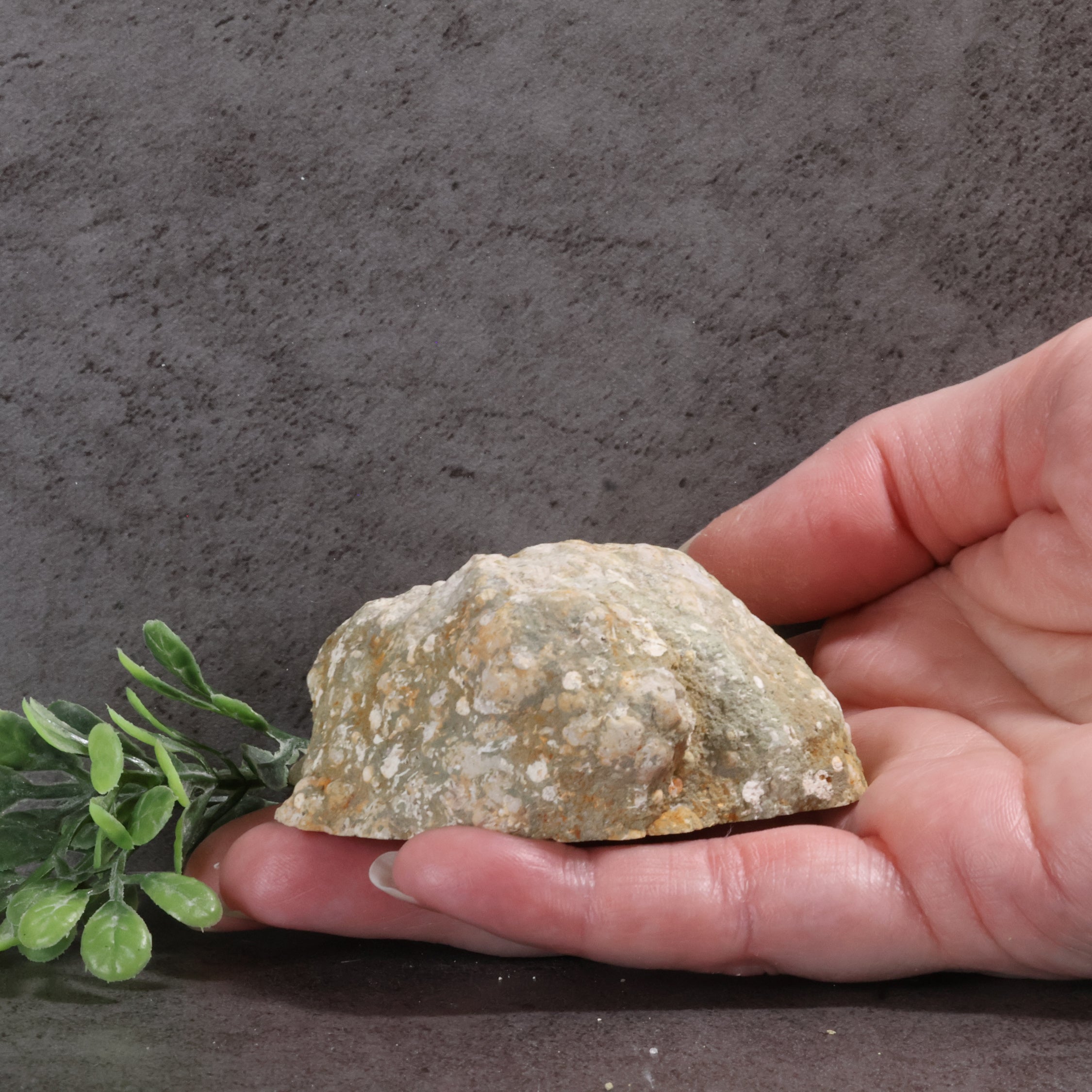 Candy Apple Geode 41a - Druzy Quartz covered Chalcedony