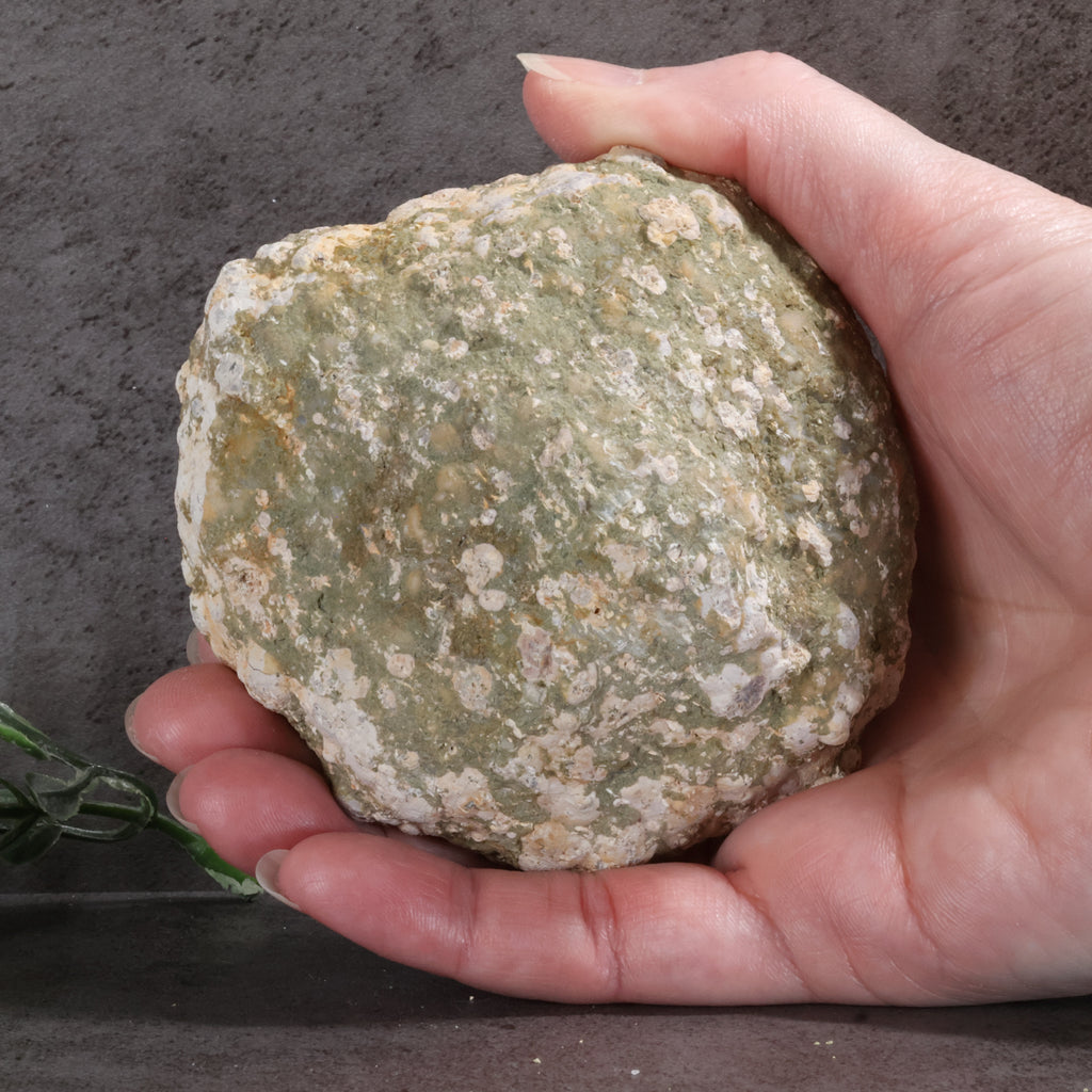 Candy Apple Geode 43a - Lots of Mini Quartz Crystals, Including Smokey Quartz