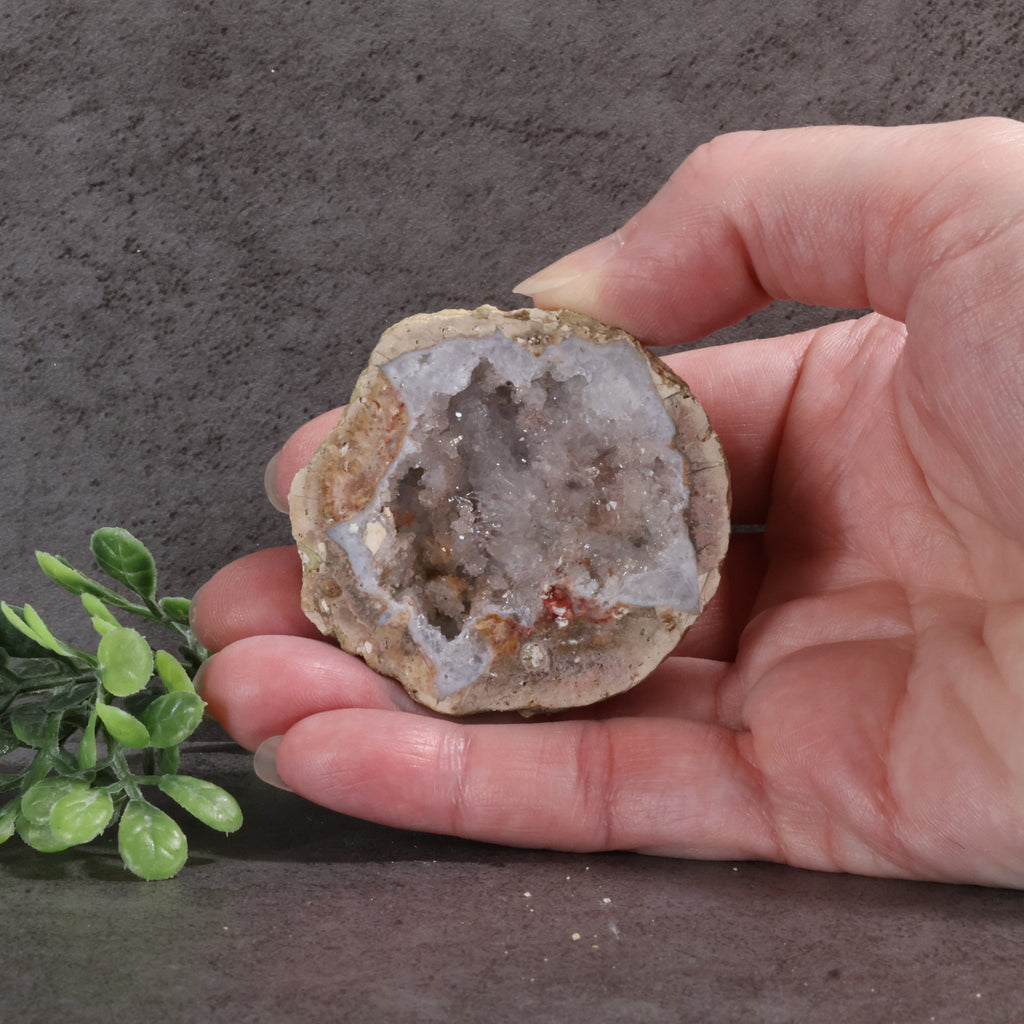 Candy Apple Geode 45a - Quartz Crystals