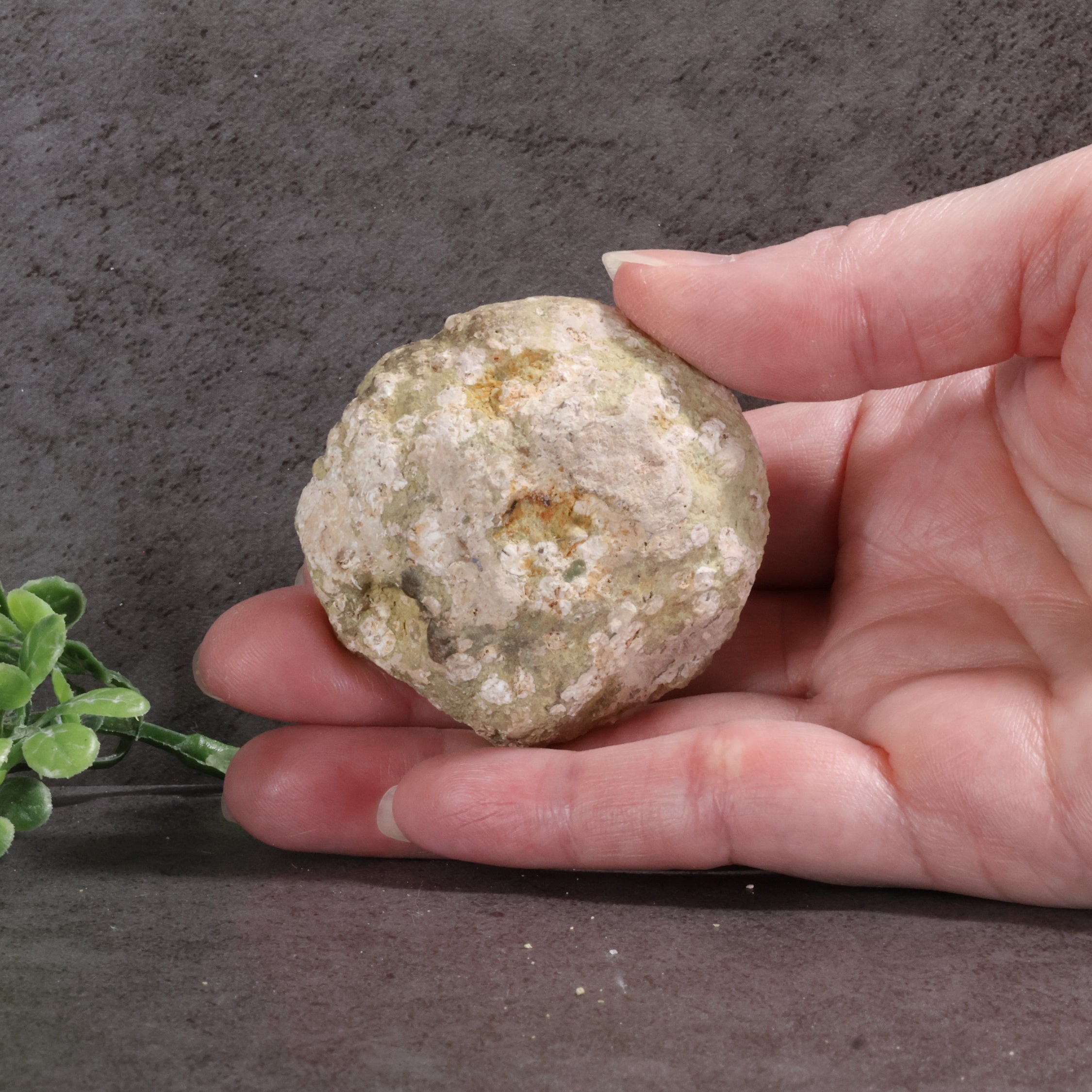 Candy Apple Geode 45a - Quartz Crystals