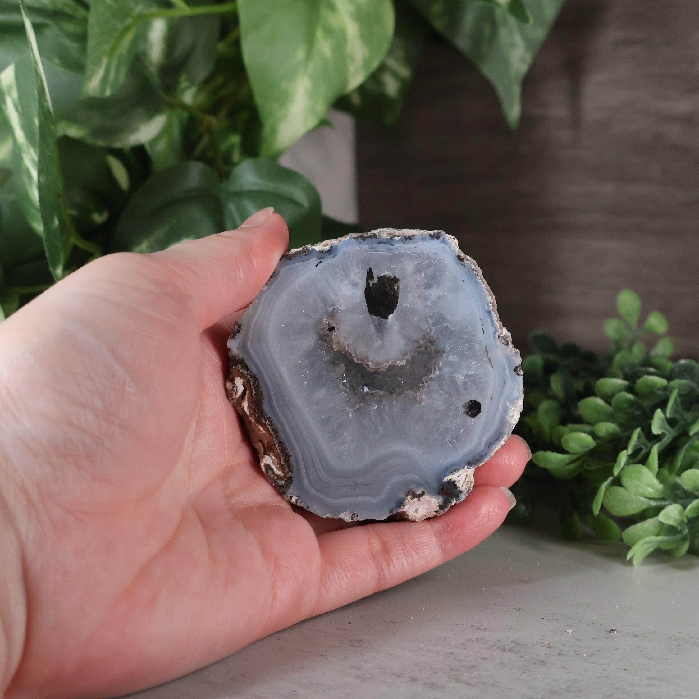 Hand holding a blue agate stone with green plants in the background