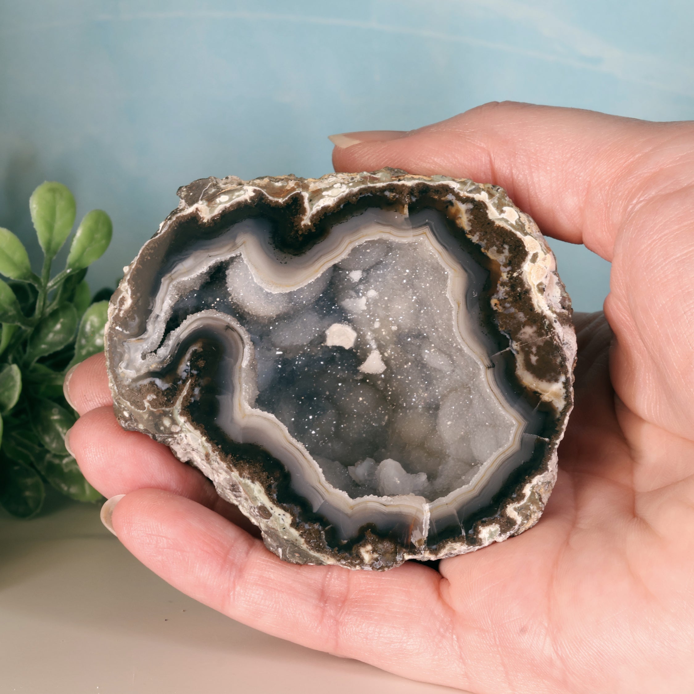 Trancas geode