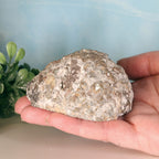 Trancas Geode 36a - Druzy Quartz