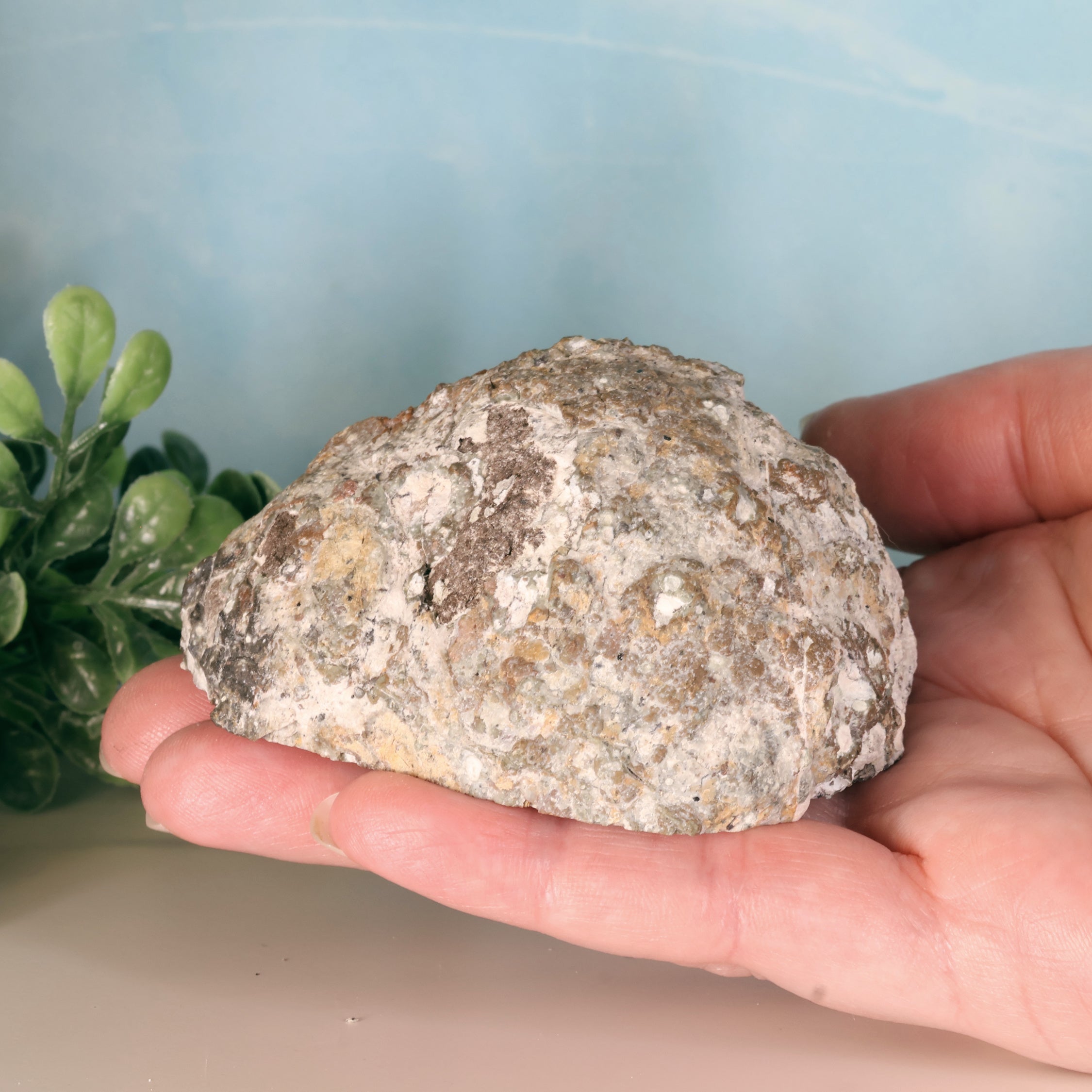 Trancas Geode 36a - Druzy Quartz