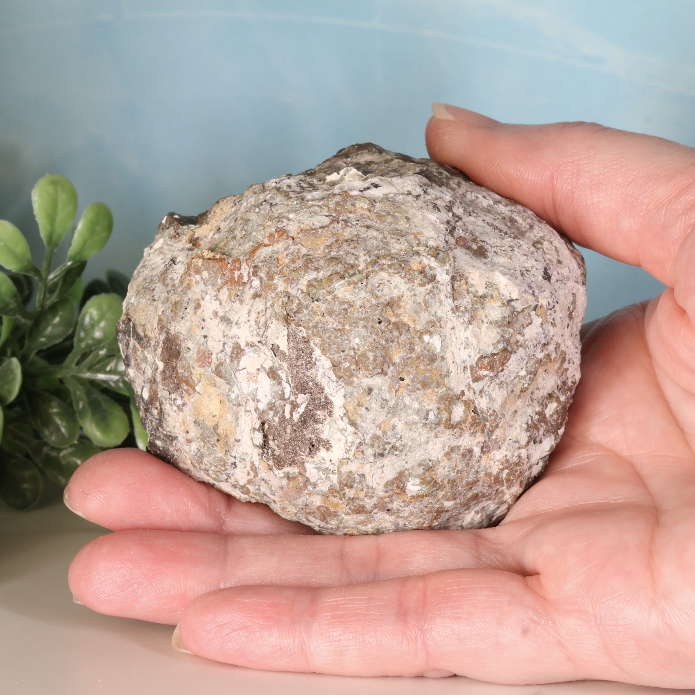Trancas Geode 36a - Druzy Quartz