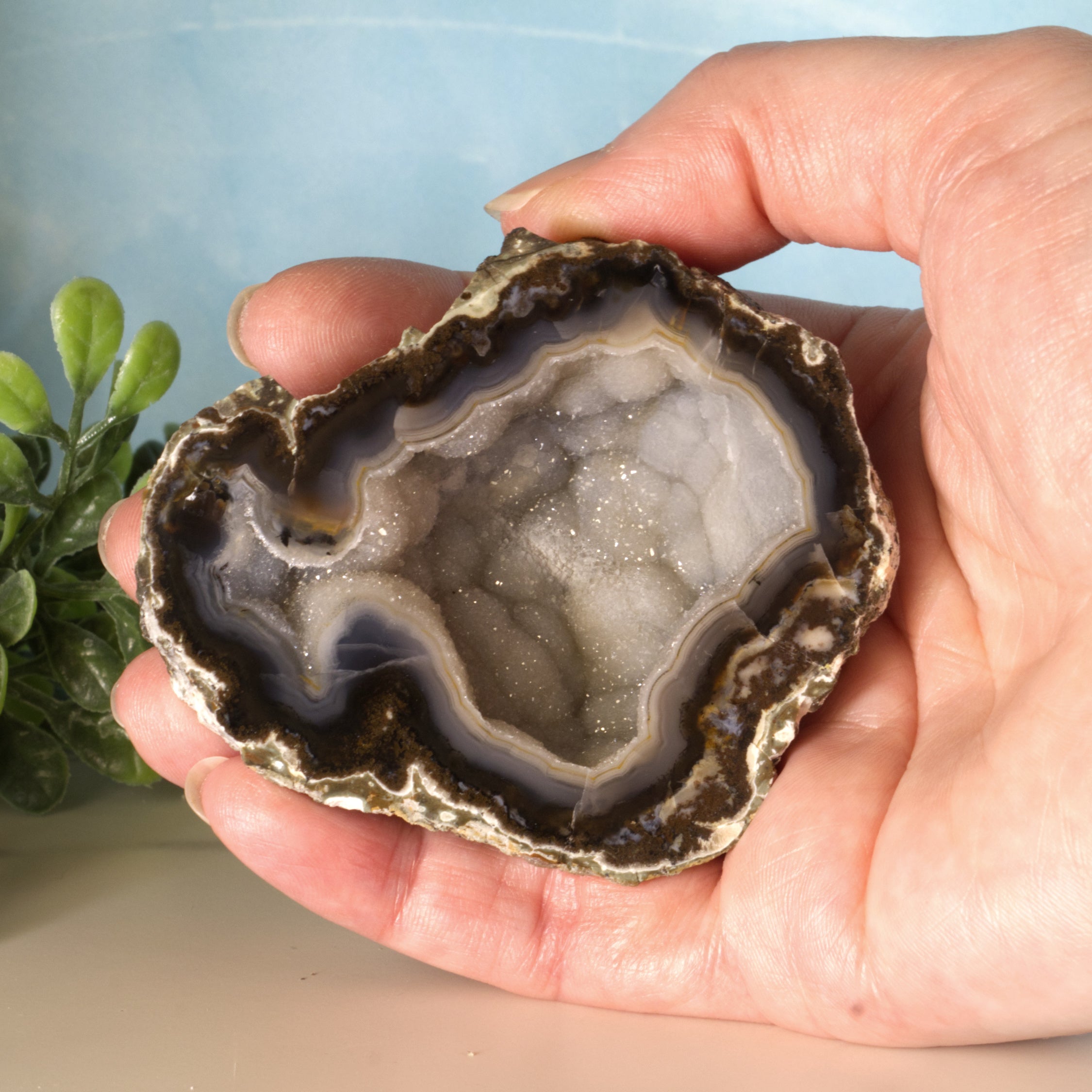 Trancas geode