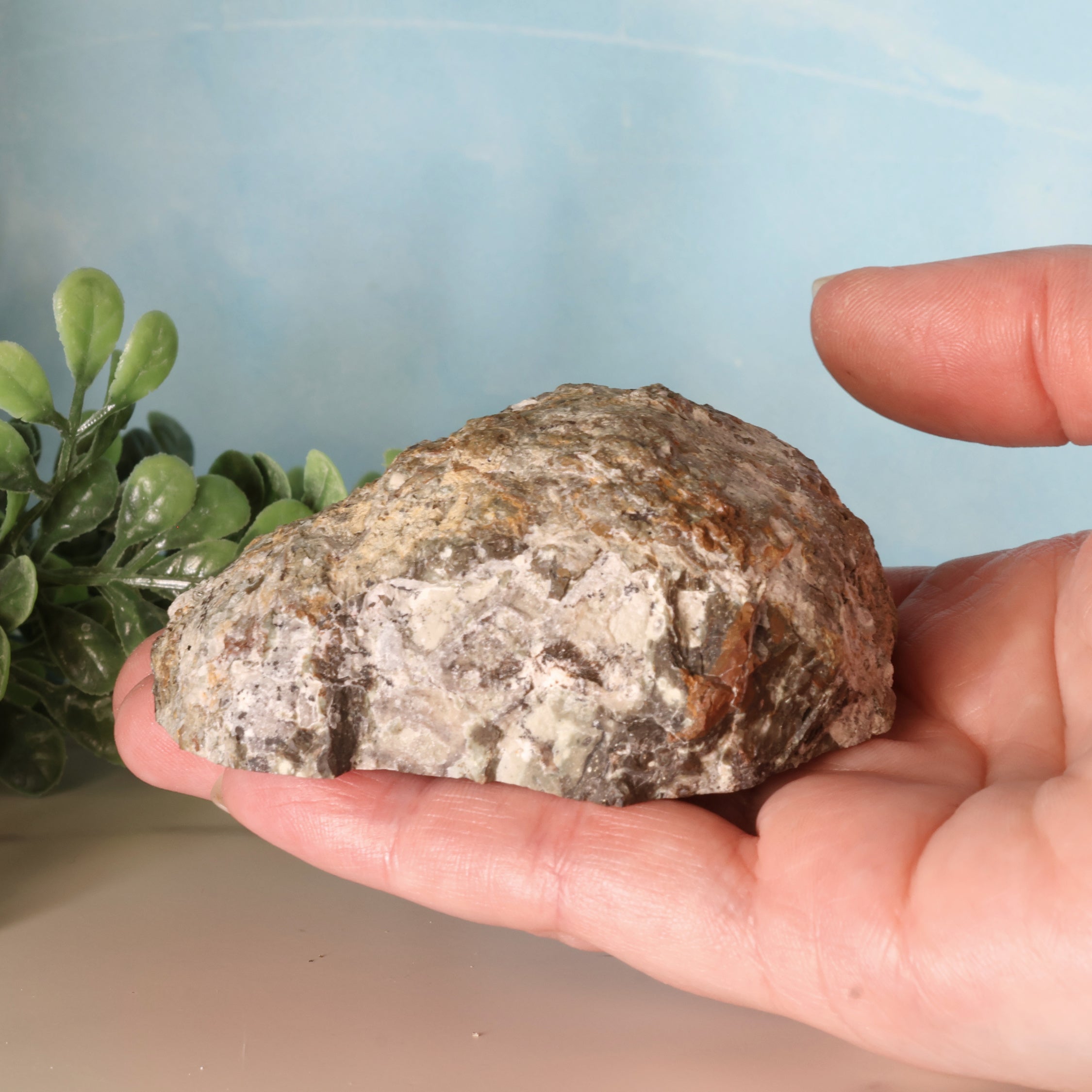 Trancas Geode 36b - Druzy Quartz