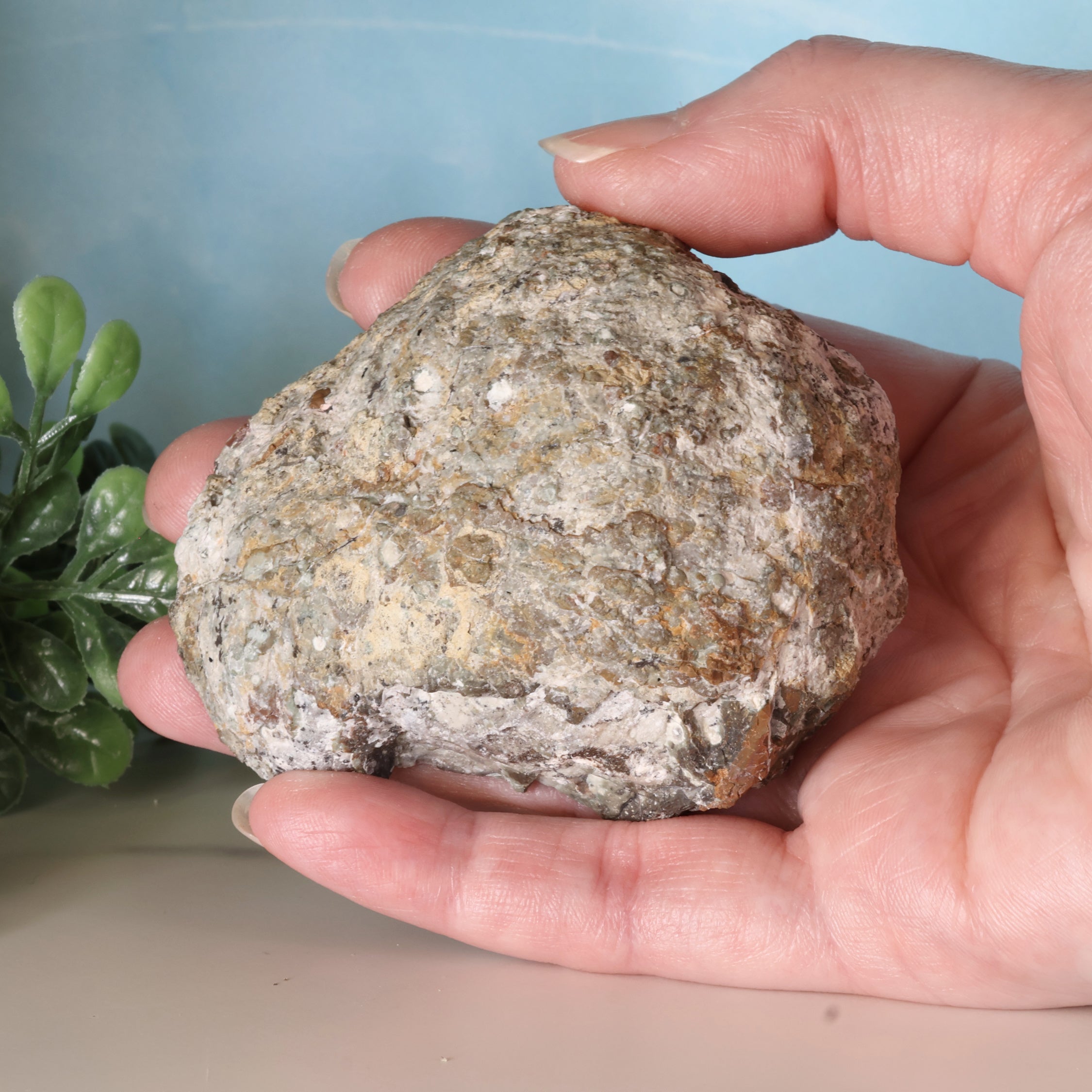 Trancas Geode 36b - Druzy Quartz