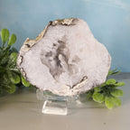 Trancas geode