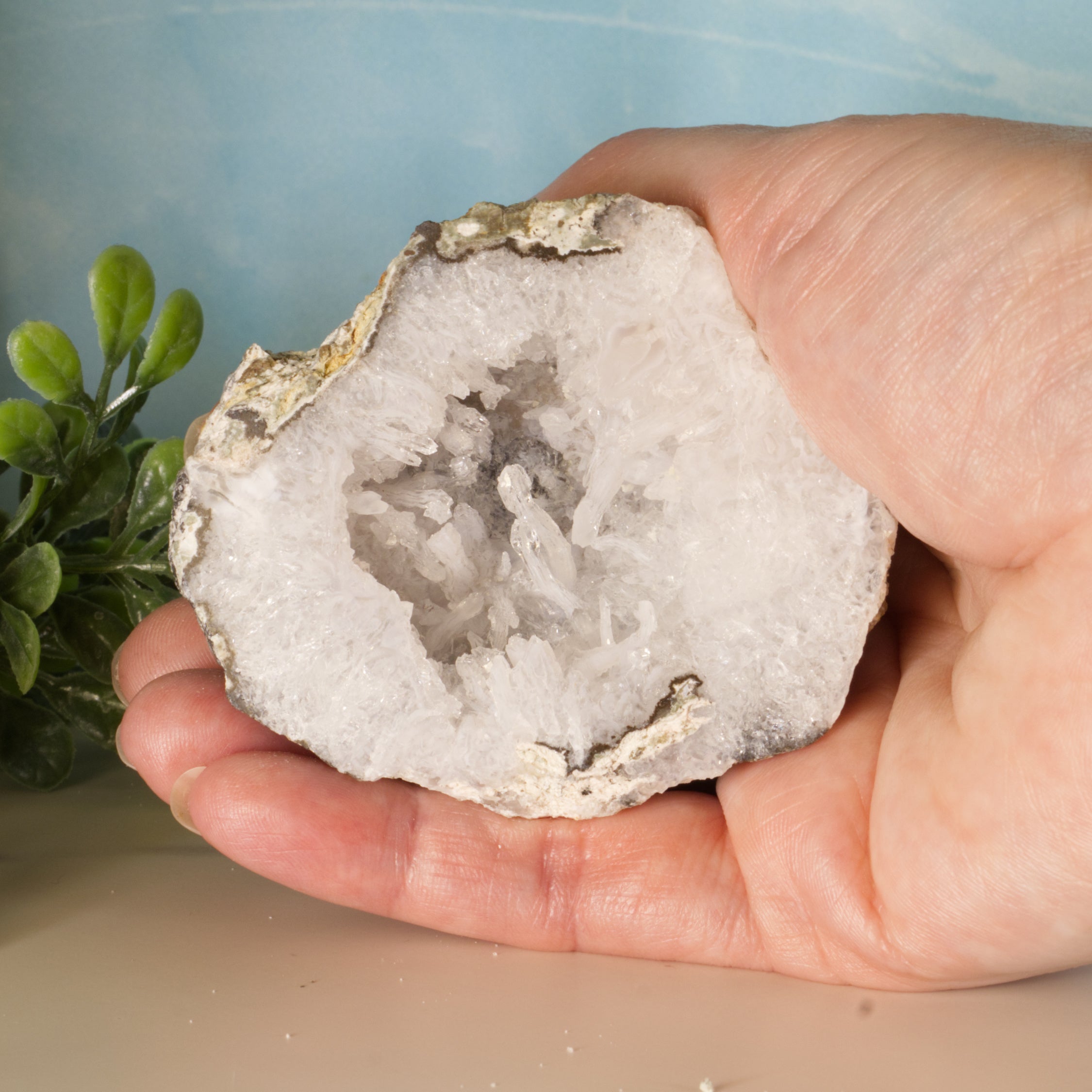 Trancas Geode 37a - Scepter Quartz Formations