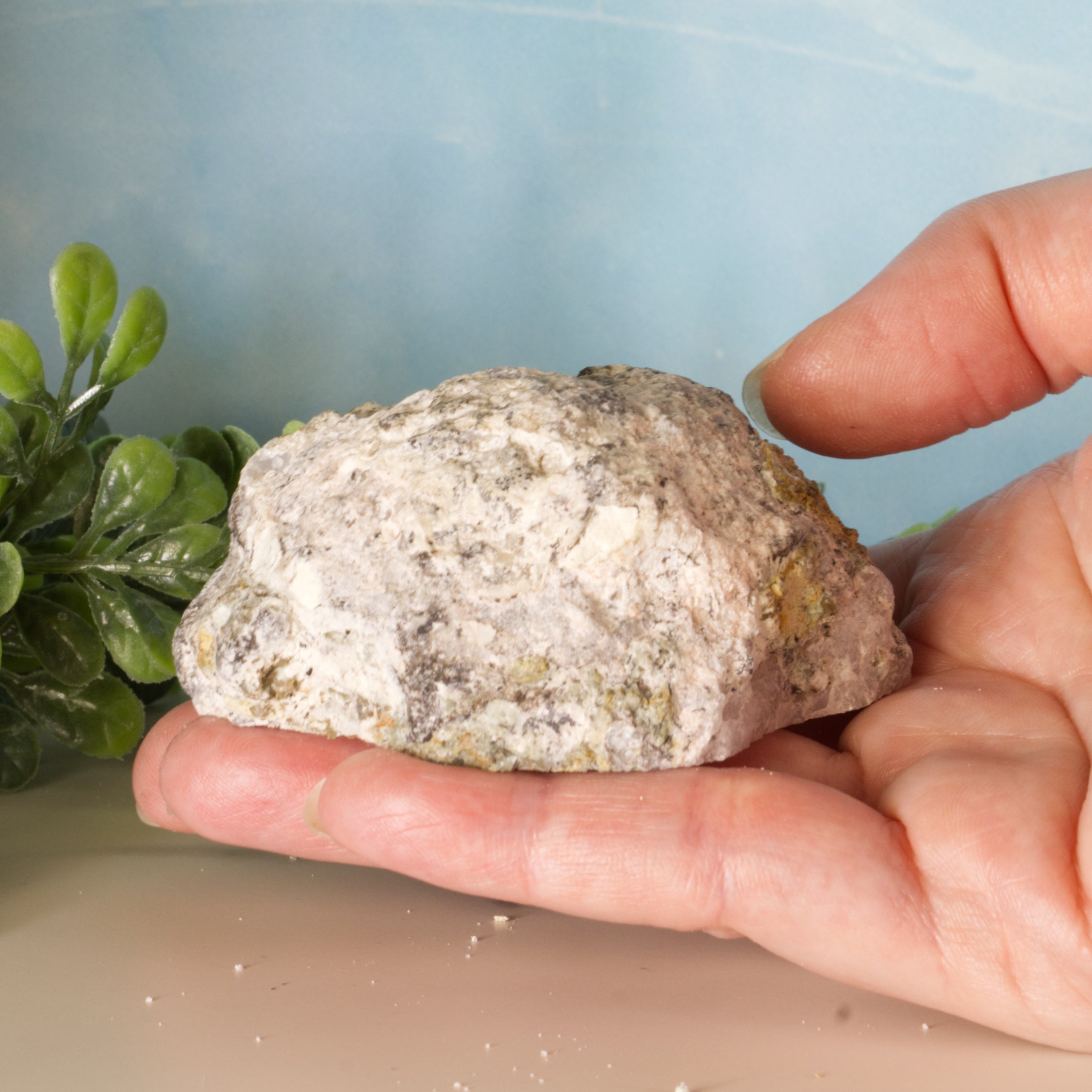 Trancas Geode 37a - Scepter Quartz Formations