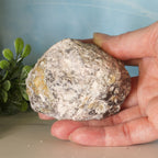 Trancas Geode 37a - Scepter Quartz Formations