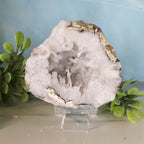 Geode crystal on a stand with green foliage against a light blue background